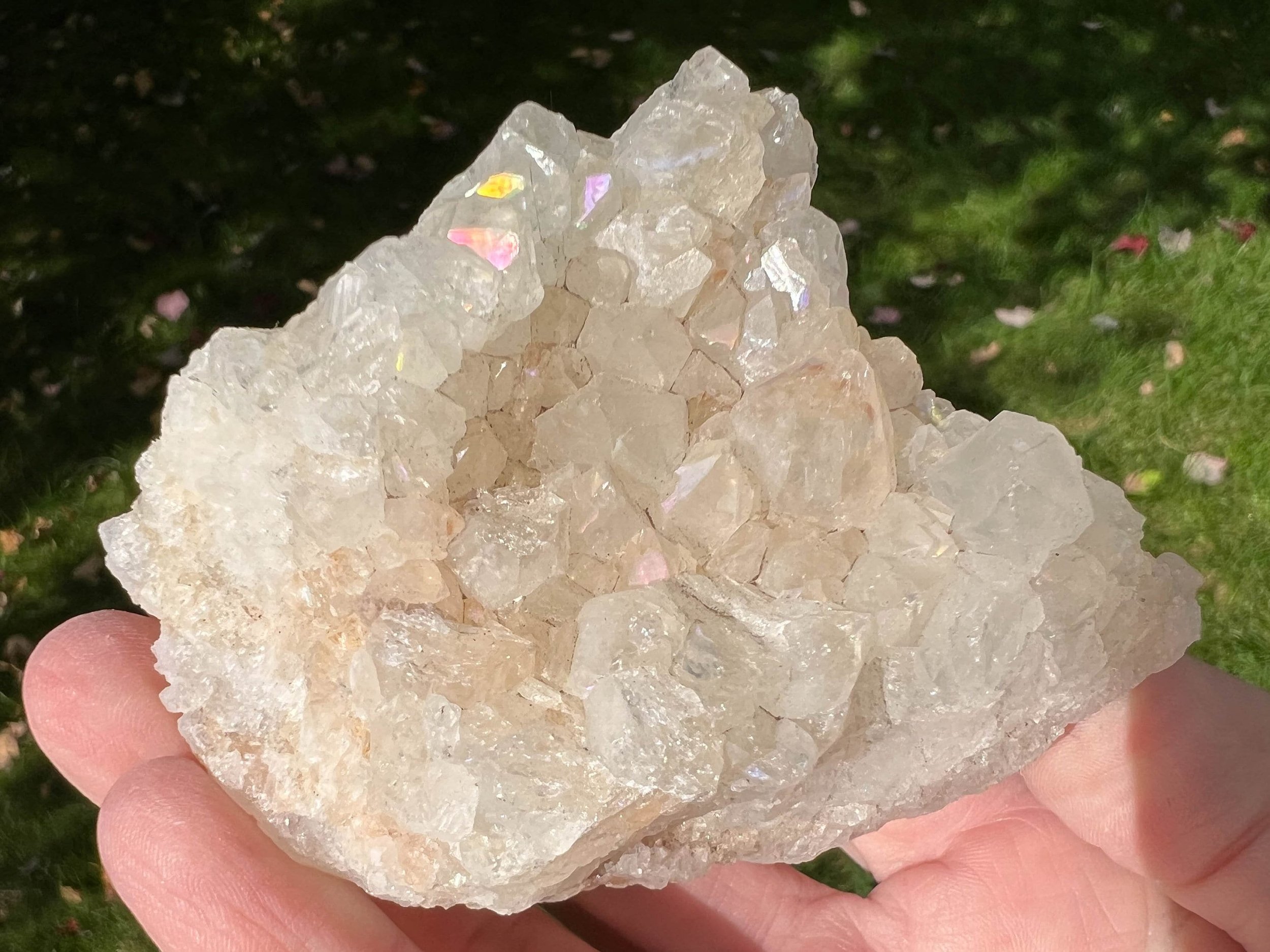 https://i.etsystatic.com/5955665/r/il/657045/5703612369/il_fullxfull.5703612369_5e4q.jpg