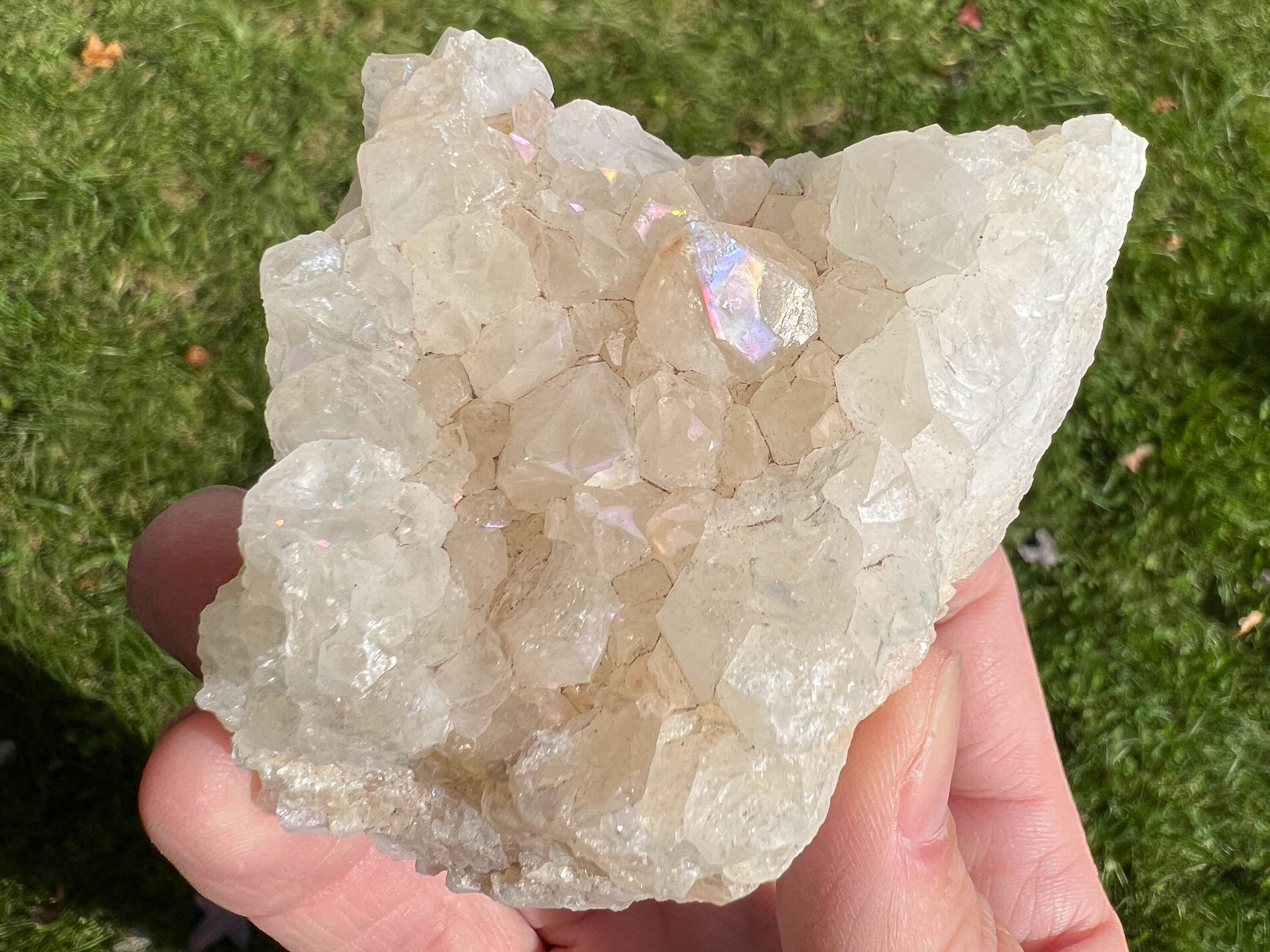 https://i.etsystatic.com/5955665/r/il/1c37f4/5703612645/il_fullxfull.5703612645_p8yo.jpg