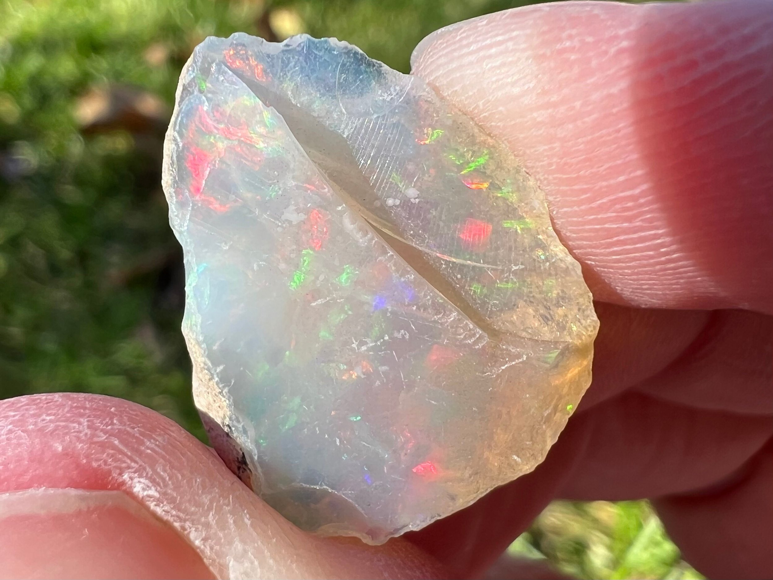 https://i.etsystatic.com/5955665/r/il/bb6fe6/5567396070/il_fullxfull.5567396070_2f2x.jpg