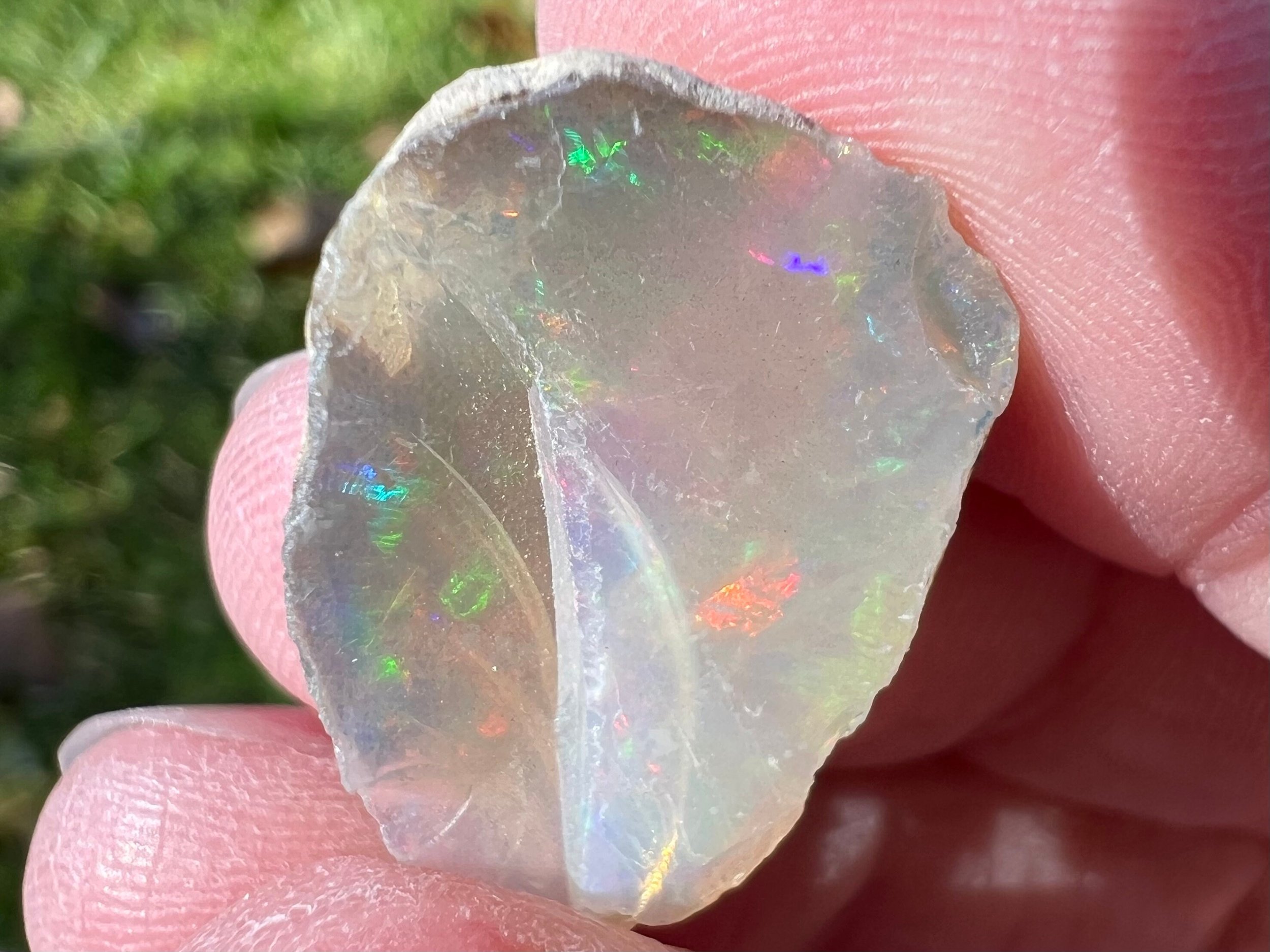 https://i.etsystatic.com/5955665/r/il/39fec0/5567396320/il_fullxfull.5567396320_1wk3.jpg