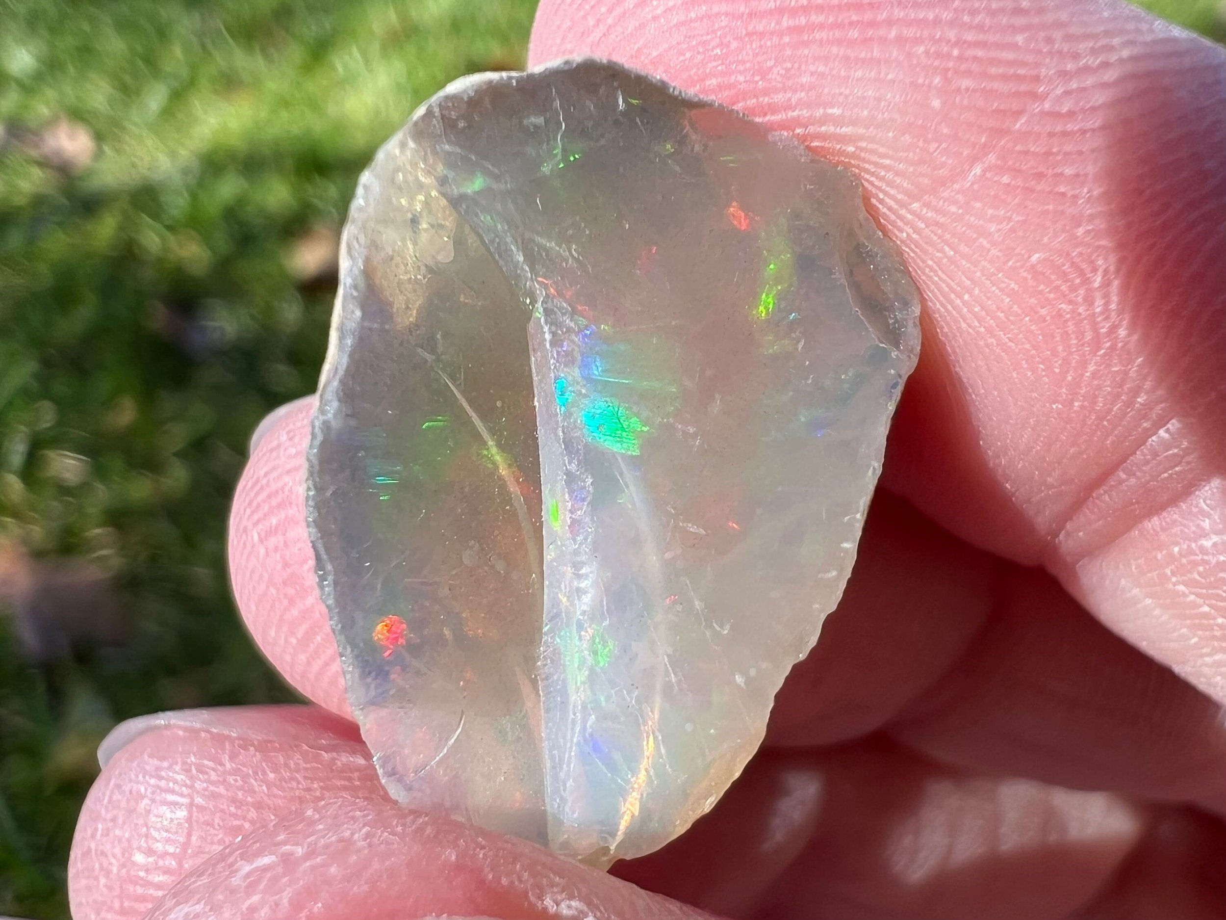 https://i.etsystatic.com/5955665/r/il/99e517/5567396334/il_fullxfull.5567396334_od8d.jpg