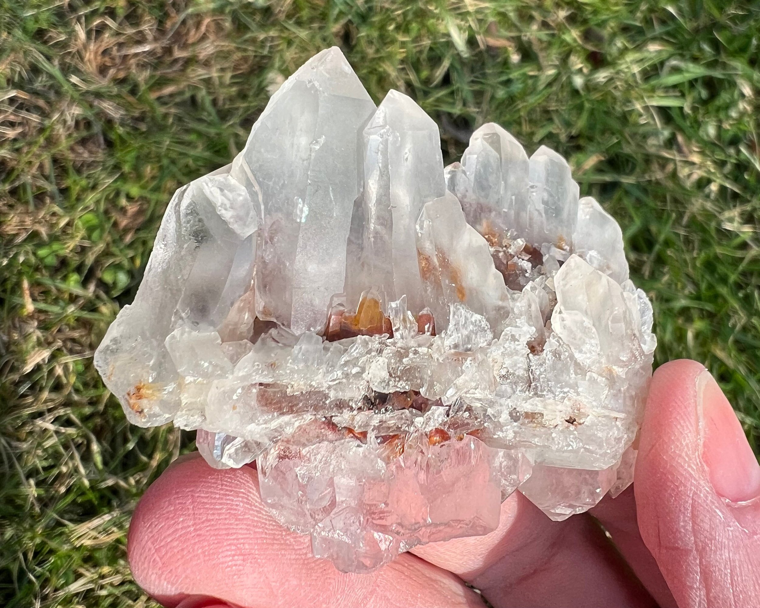 https://i.etsystatic.com/5955665/r/il/28a385/4557221683/il_fullxfull.4557221683_4cvt.jpg
