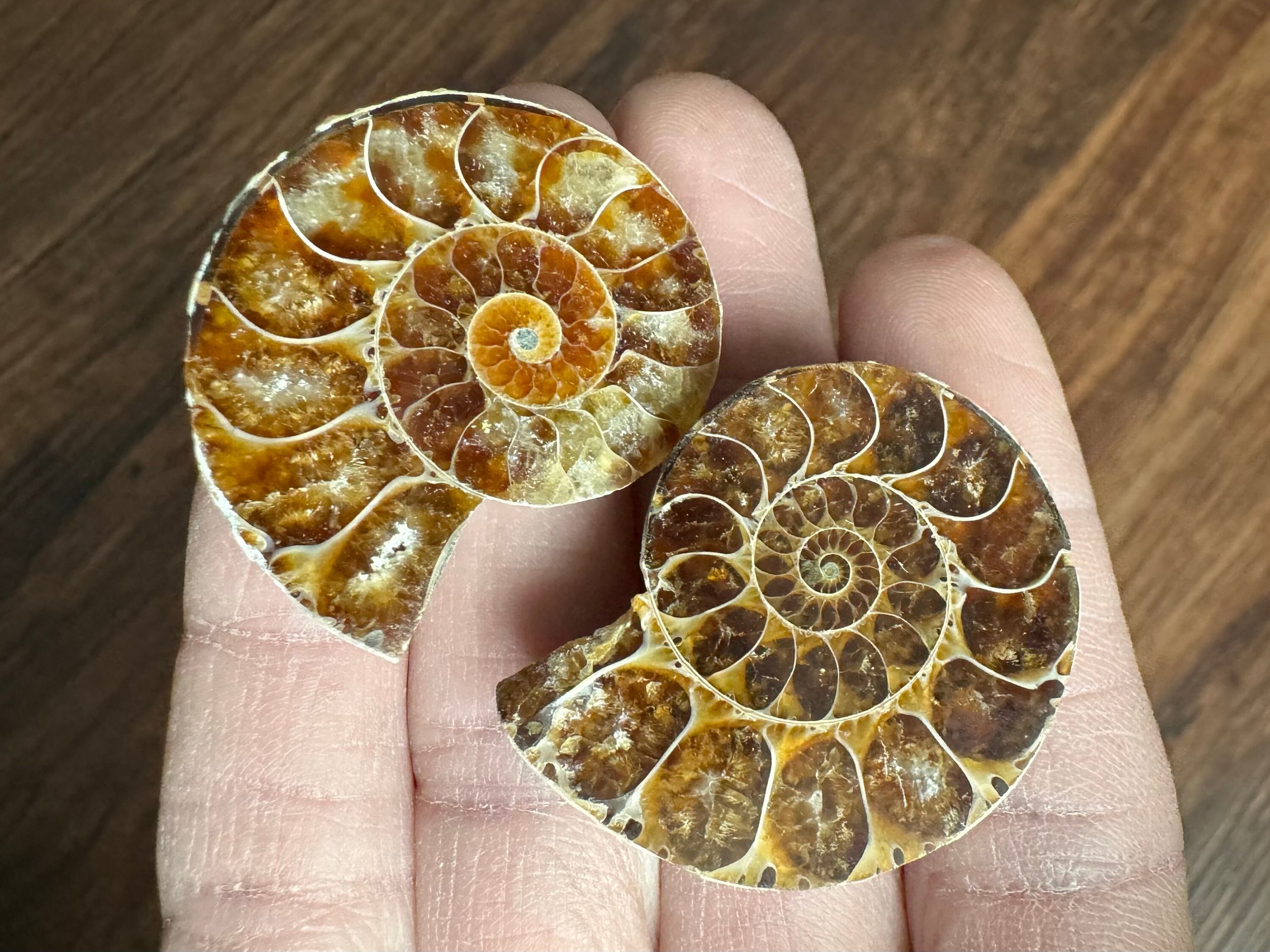 https://i.etsystatic.com/5955665/r/il/f605cd/5823602831/il_fullxfull.5823602831_re3l.jpg