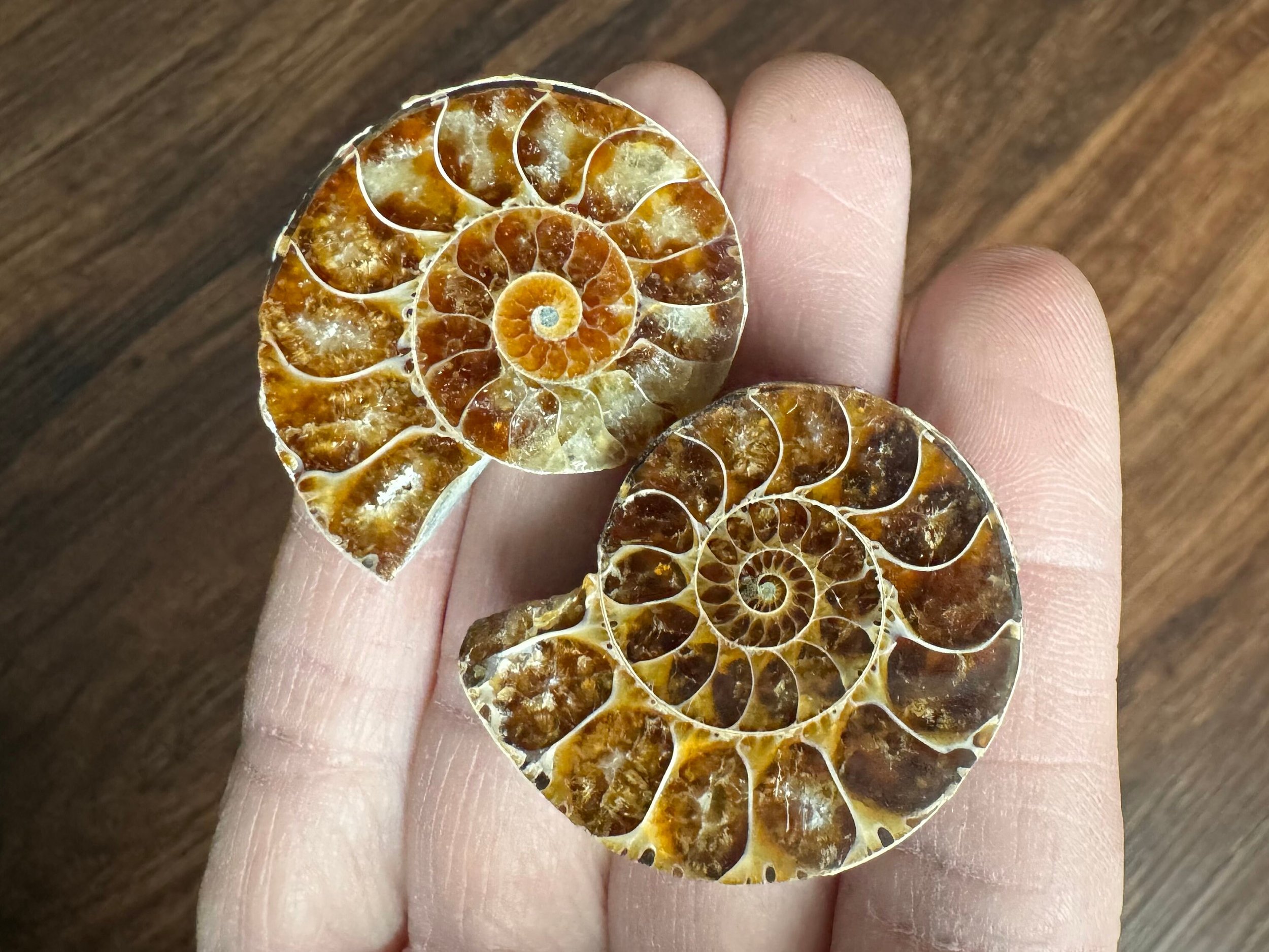 https://i.etsystatic.com/5955665/r/il/f19639/5775533808/il_fullxfull.5775533808_r7e2.jpg