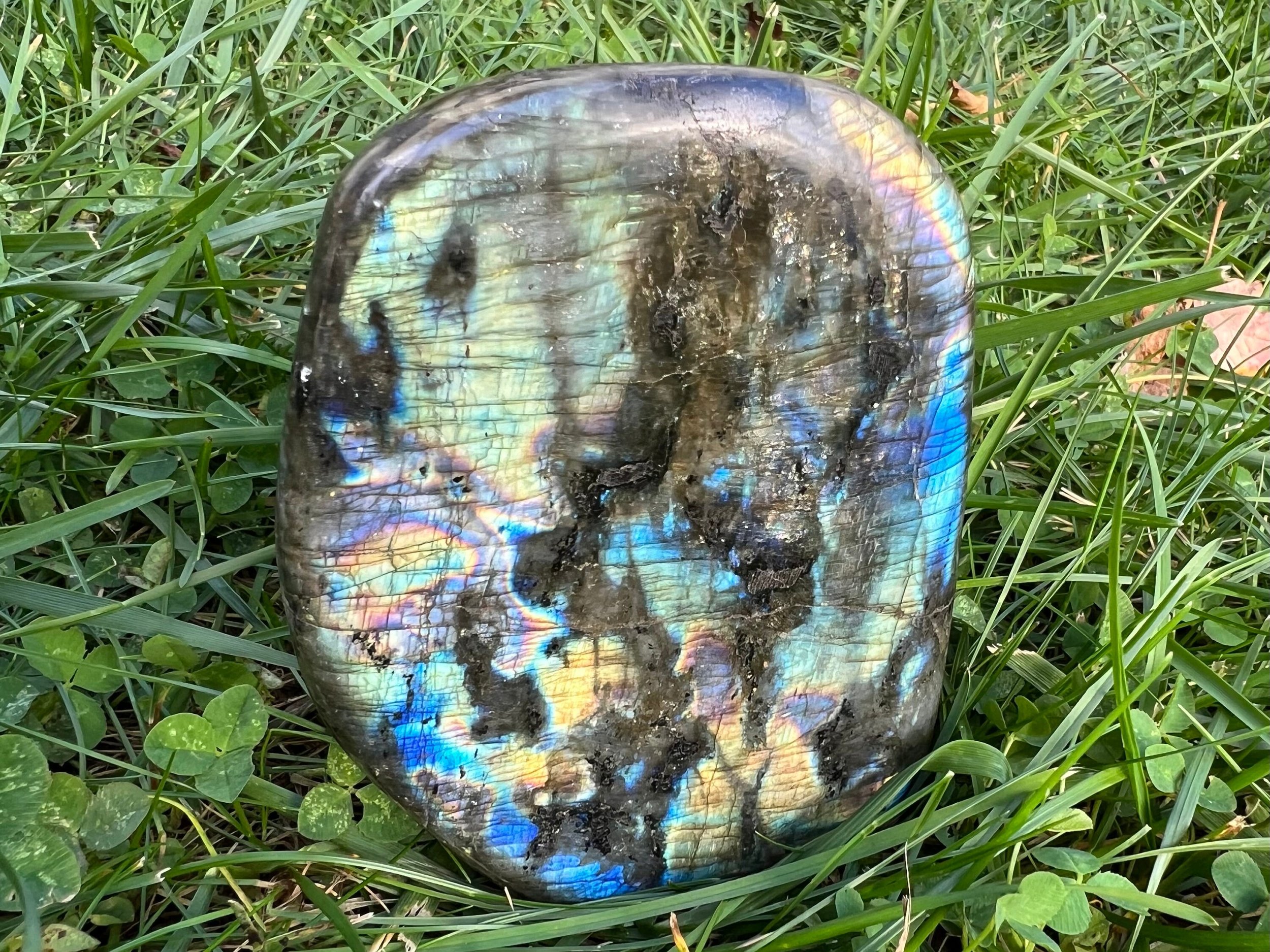 https://i.etsystatic.com/5955665/r/il/8952a0/5698980718/il_fullxfull.5698980718_nt72.jpg