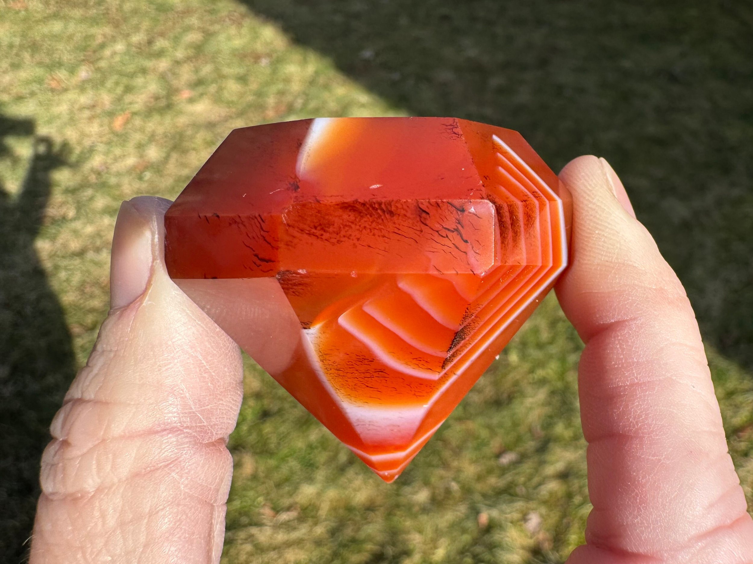 https://i.etsystatic.com/5955665/r/il/7fc6ef/5806653717/il_fullxfull.5806653717_lzka.jpg