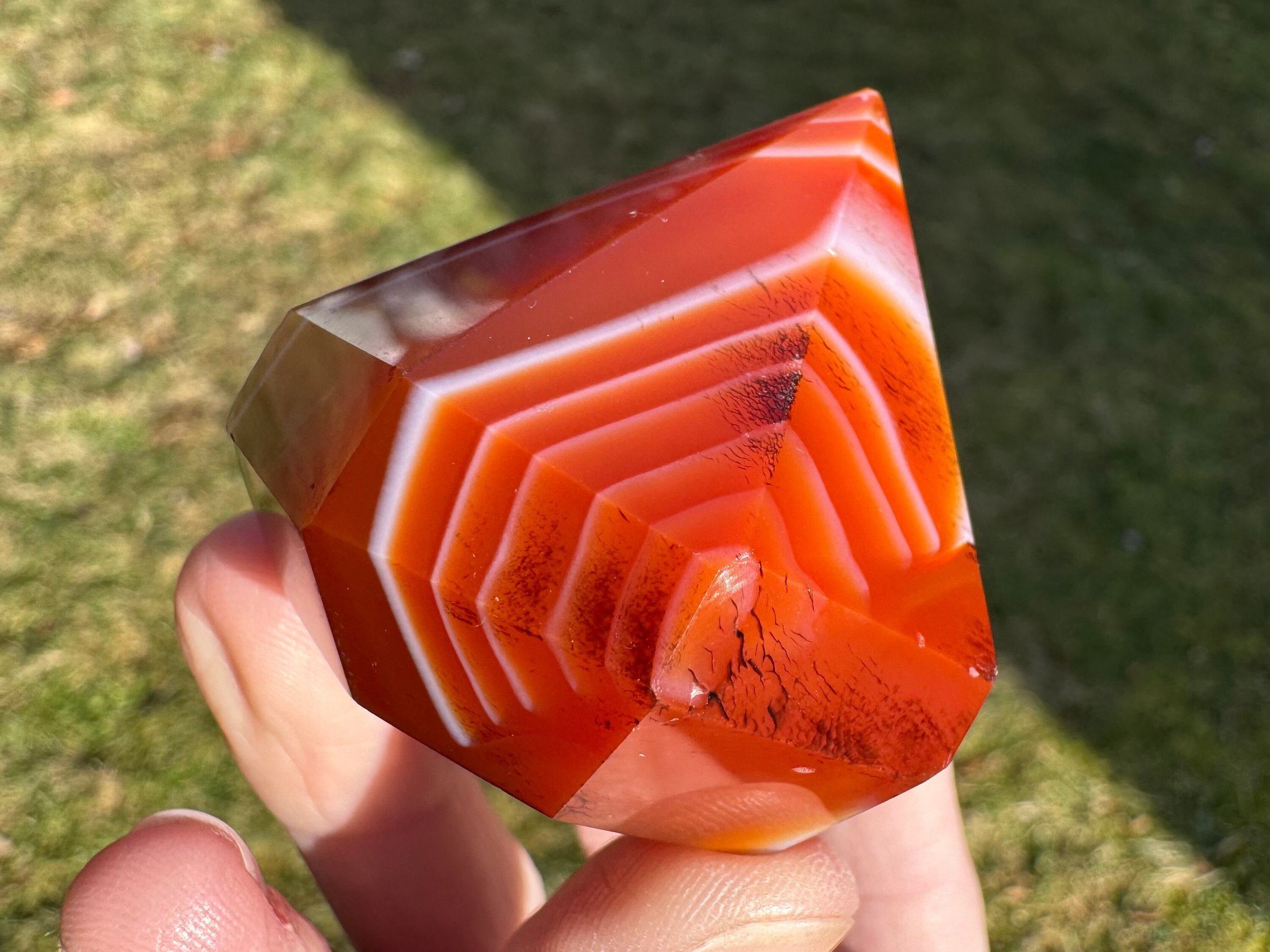 https://i.etsystatic.com/5955665/r/il/330eb3/5758579110/il_fullxfull.5758579110_9pk3.jpg