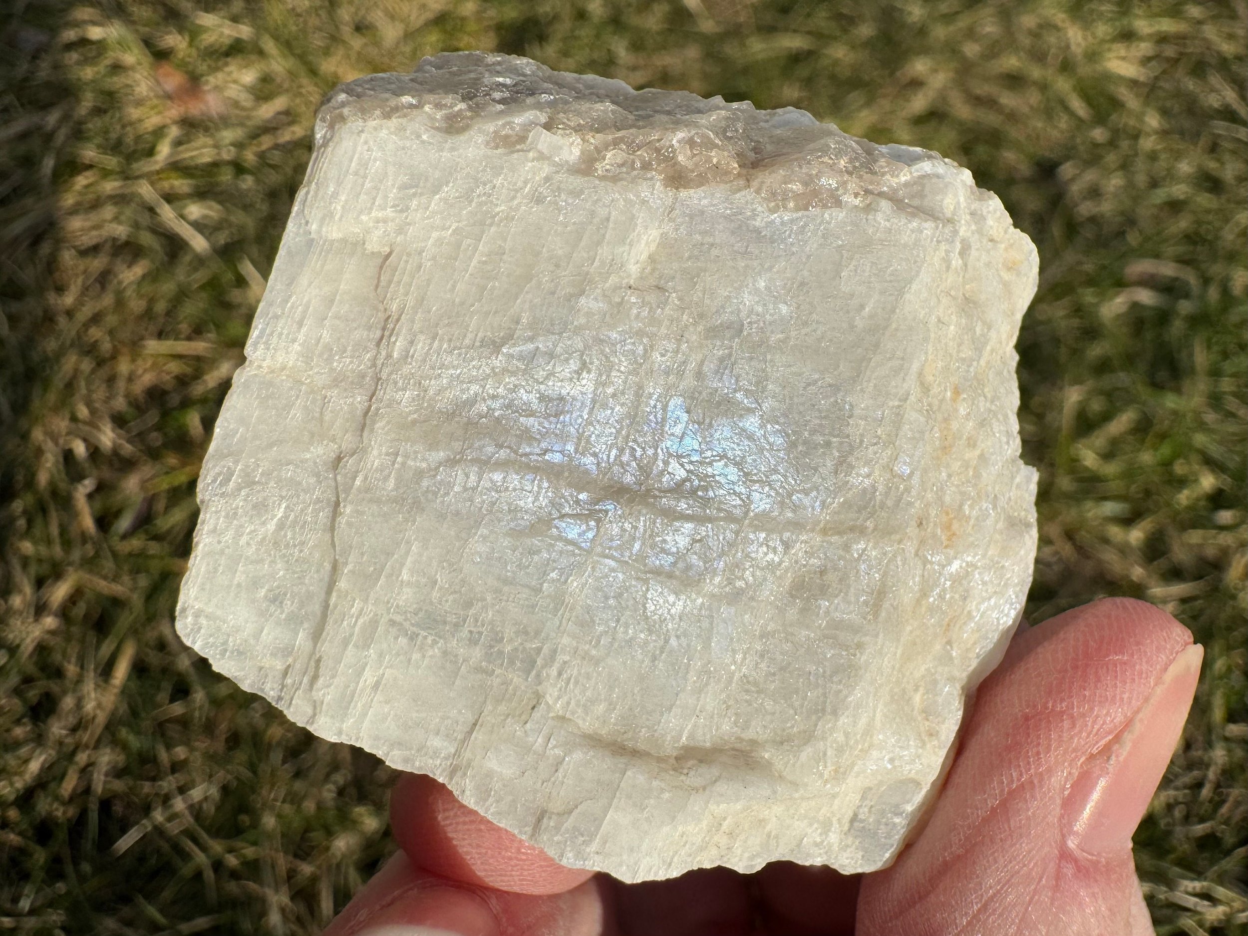 https://i.etsystatic.com/5955665/r/il/de769c/6056505955/il_fullxfull.6056505955_pq3r.jpg