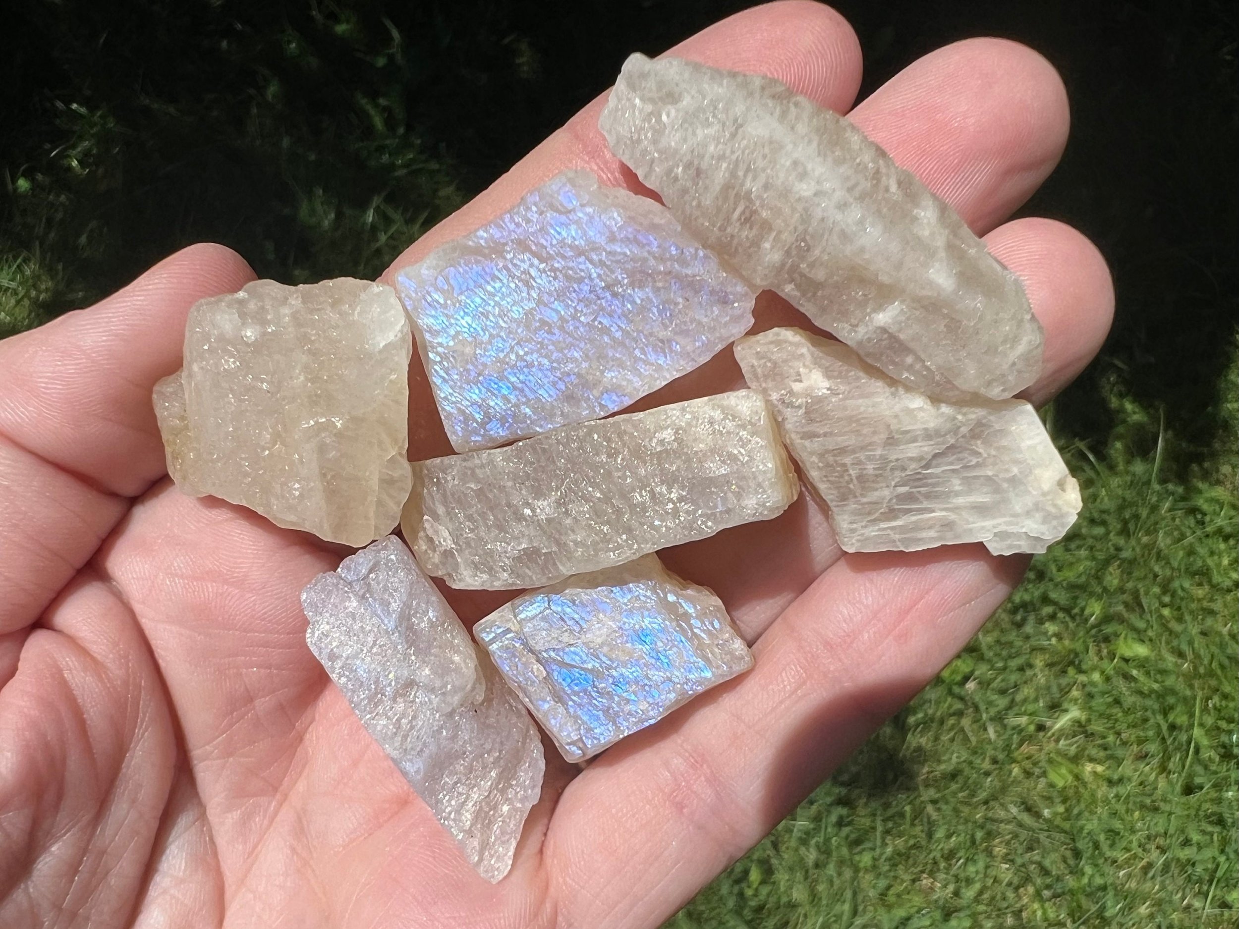 https://i.etsystatic.com/5955665/r/il/4c7990/5395073710/il_fullxfull.5395073710_ours.jpg