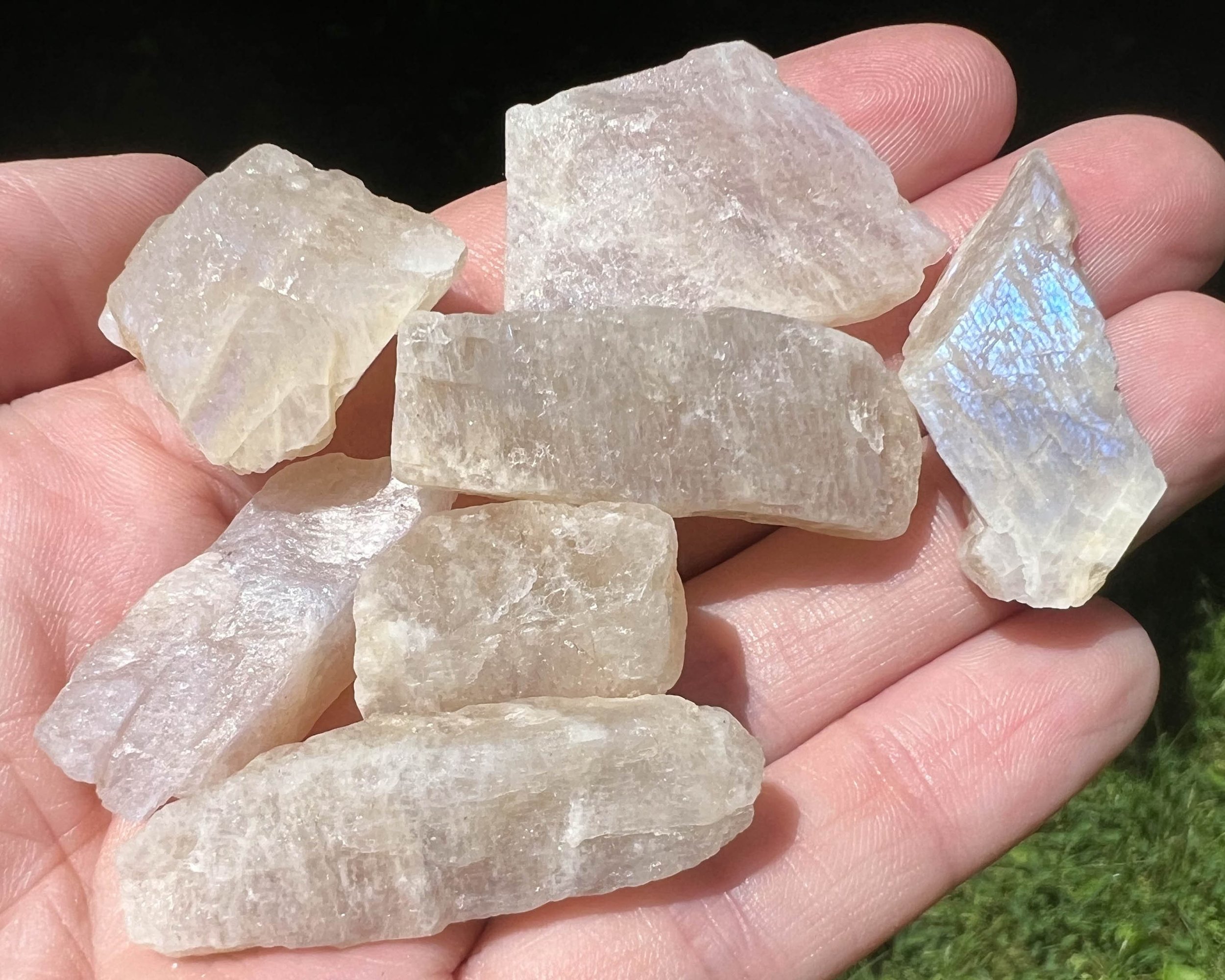 https://i.etsystatic.com/5955665/r/il/672cbd/5443224465/il_fullxfull.5443224465_eatk.jpg