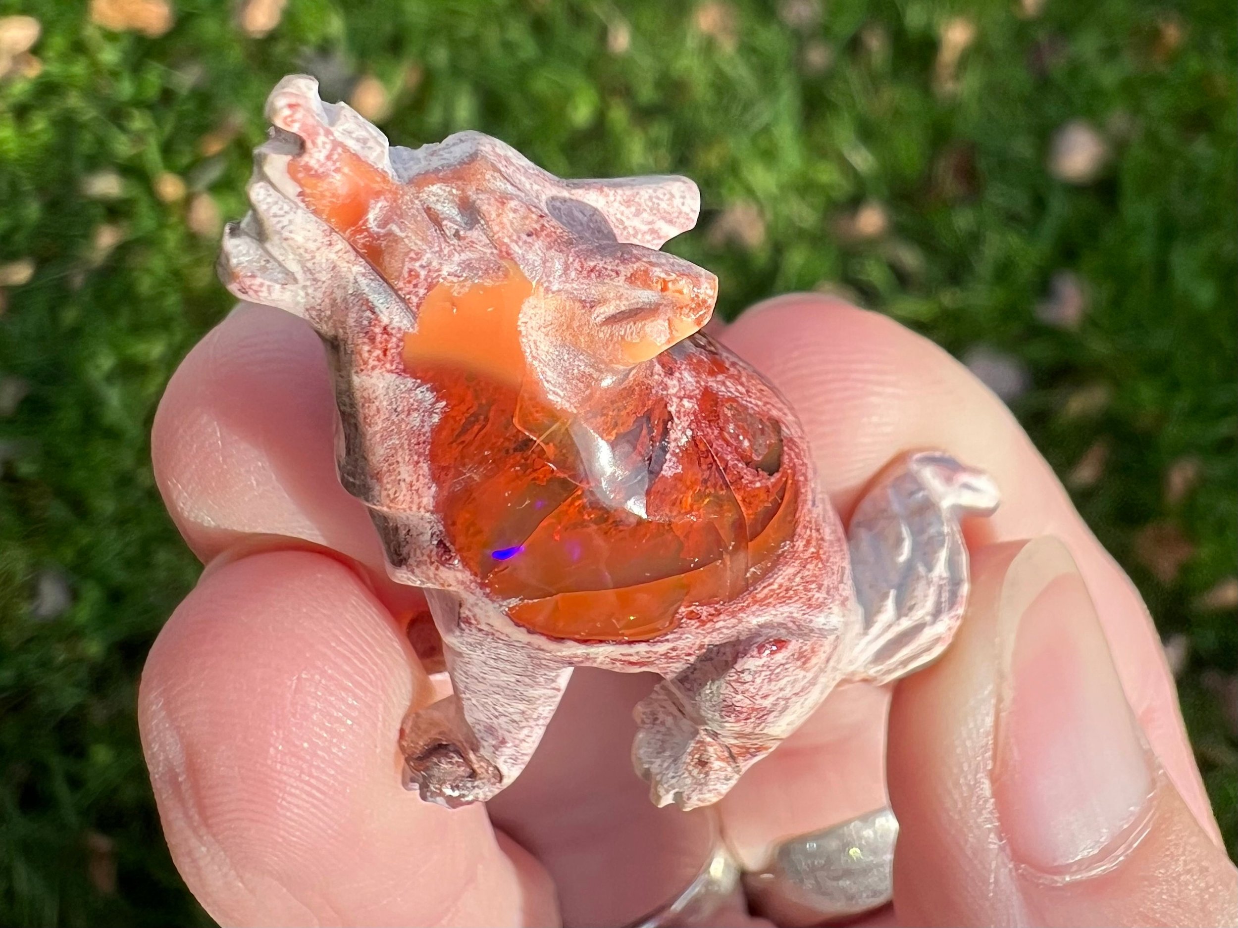 https://i.etsystatic.com/5955665/r/il/79c6db/5733549777/il_fullxfull.5733549777_j14o.jpg