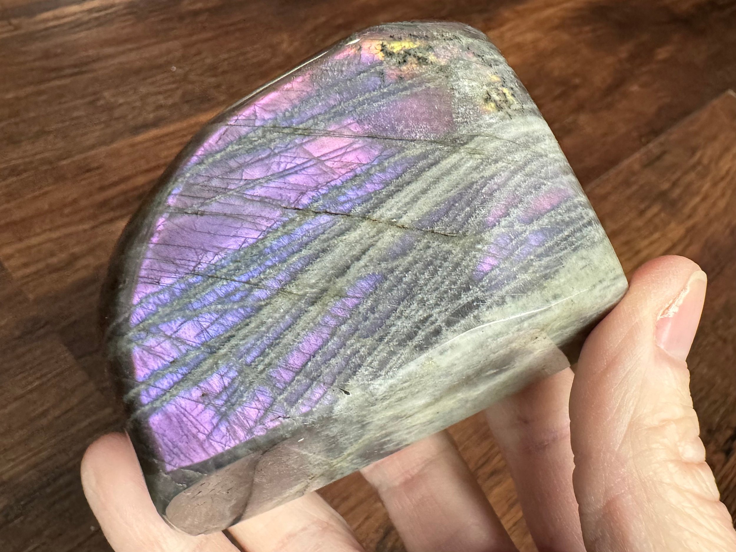 https://i.etsystatic.com/5955665/r/il/4f8973/5768288509/il_fullxfull.5768288509_oj86.jpg