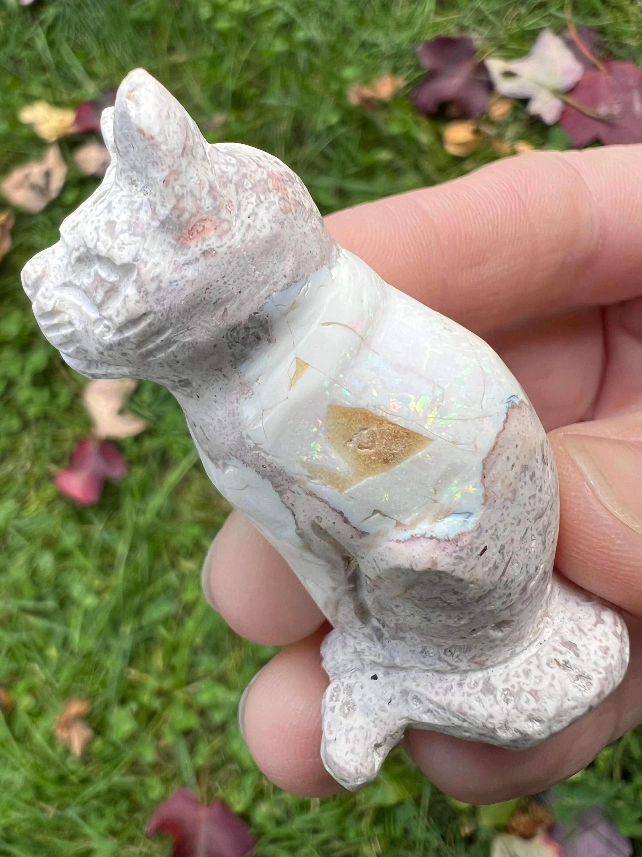 https://i.etsystatic.com/5955665/r/il/76e395/5709913583/il_fullxfull.5709913583_7gse.jpg