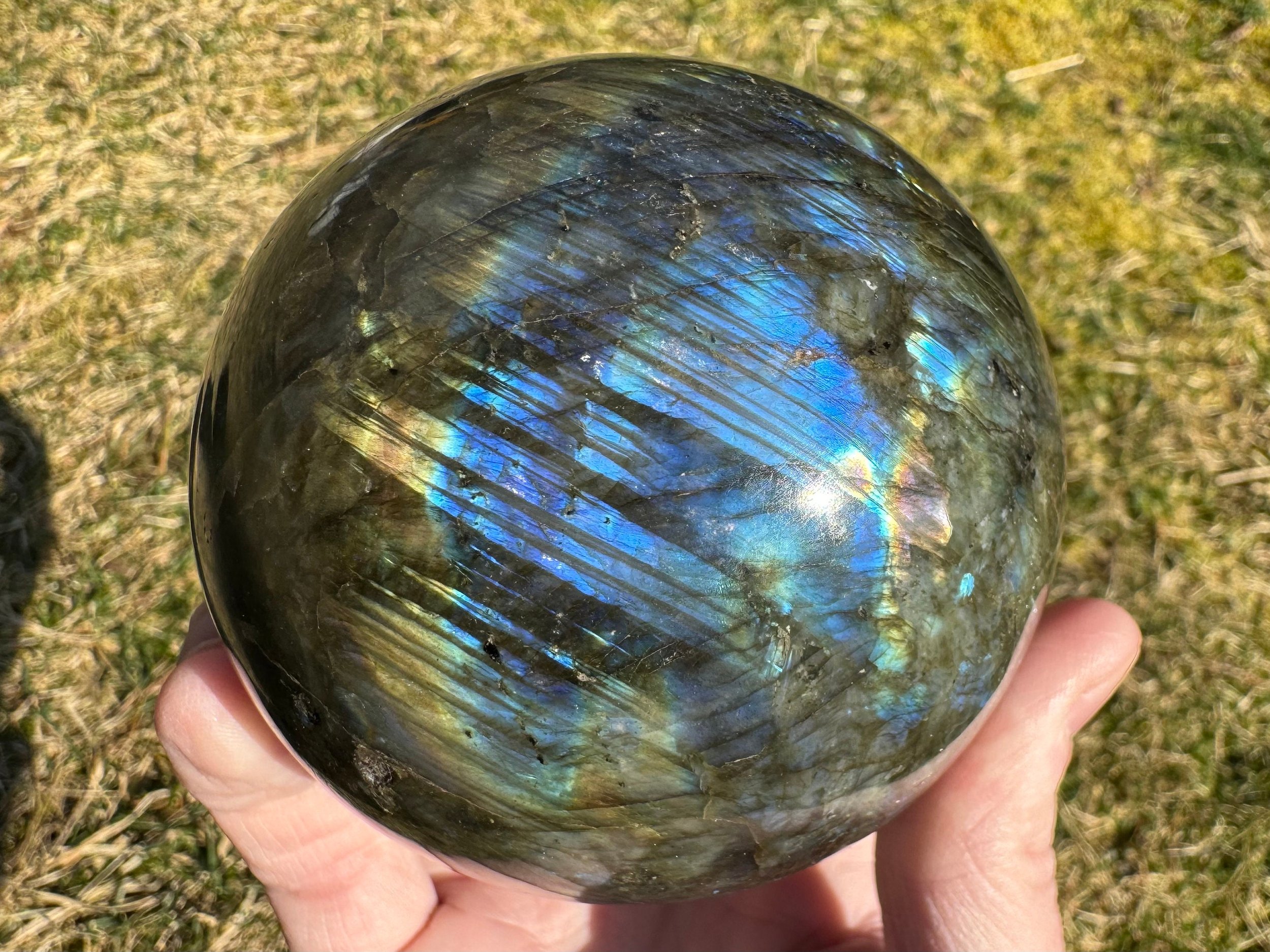 https://i.etsystatic.com/5955665/r/il/ff6aa4/6216928203/il_fullxfull.6216928203_midu.jpg