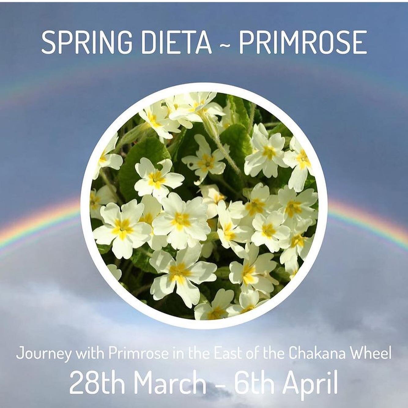 Anybody else feeling the call to be guided through a Plant Dieta with @therainbowportal ? 🥰 This will be my first plant dieta, with the last day of the course being the first day of my #sacredsecretion ; what a perfect pre-preservation cleanse for u