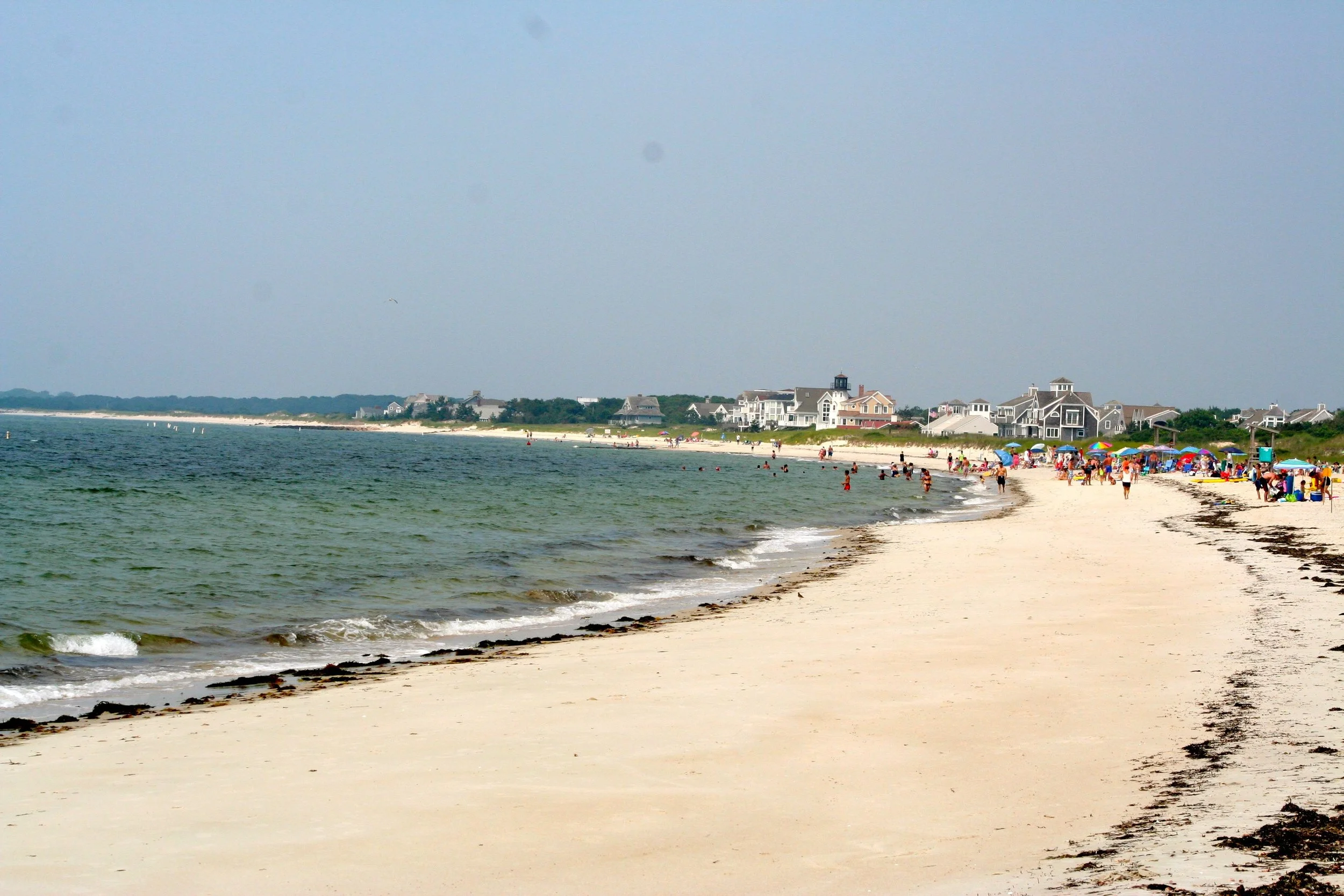 seagull beach.jpg