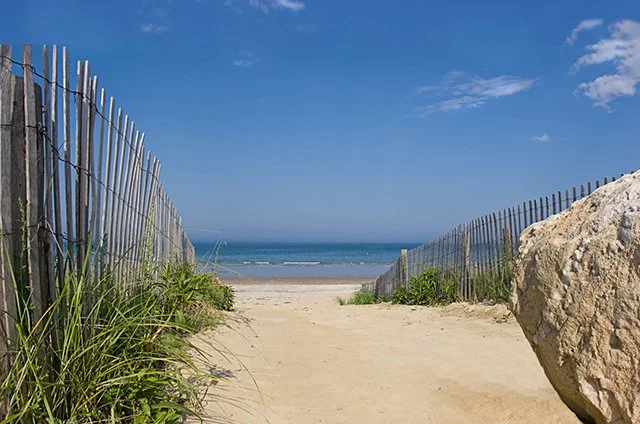 Cape%20Cod%20Beach%20Trails.jpg