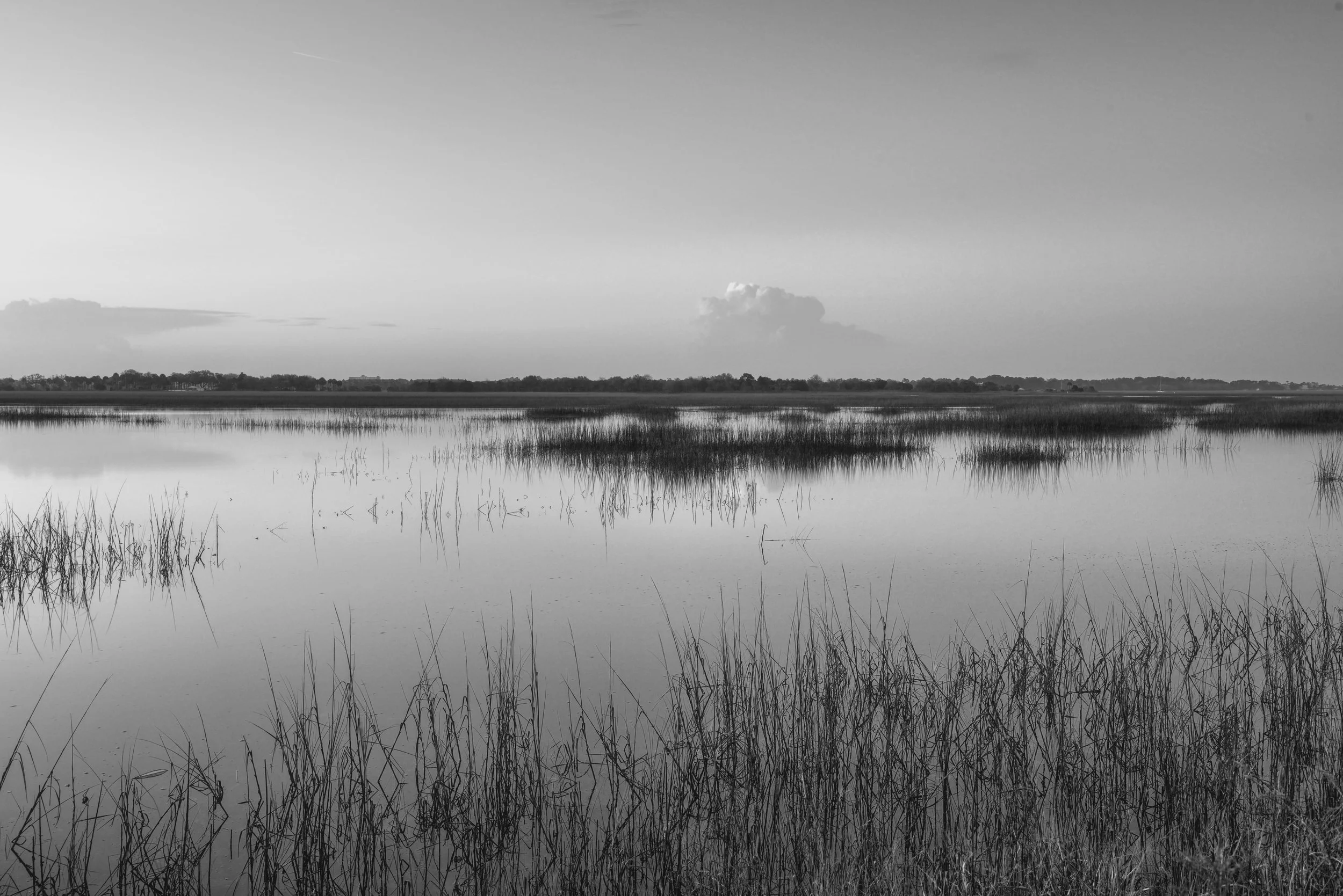 Sunrise, Bowens Island, SC 2015