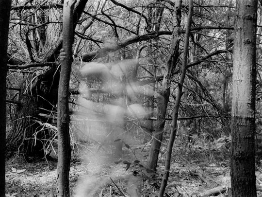 Untitled, (Austerlitz, NY #11)