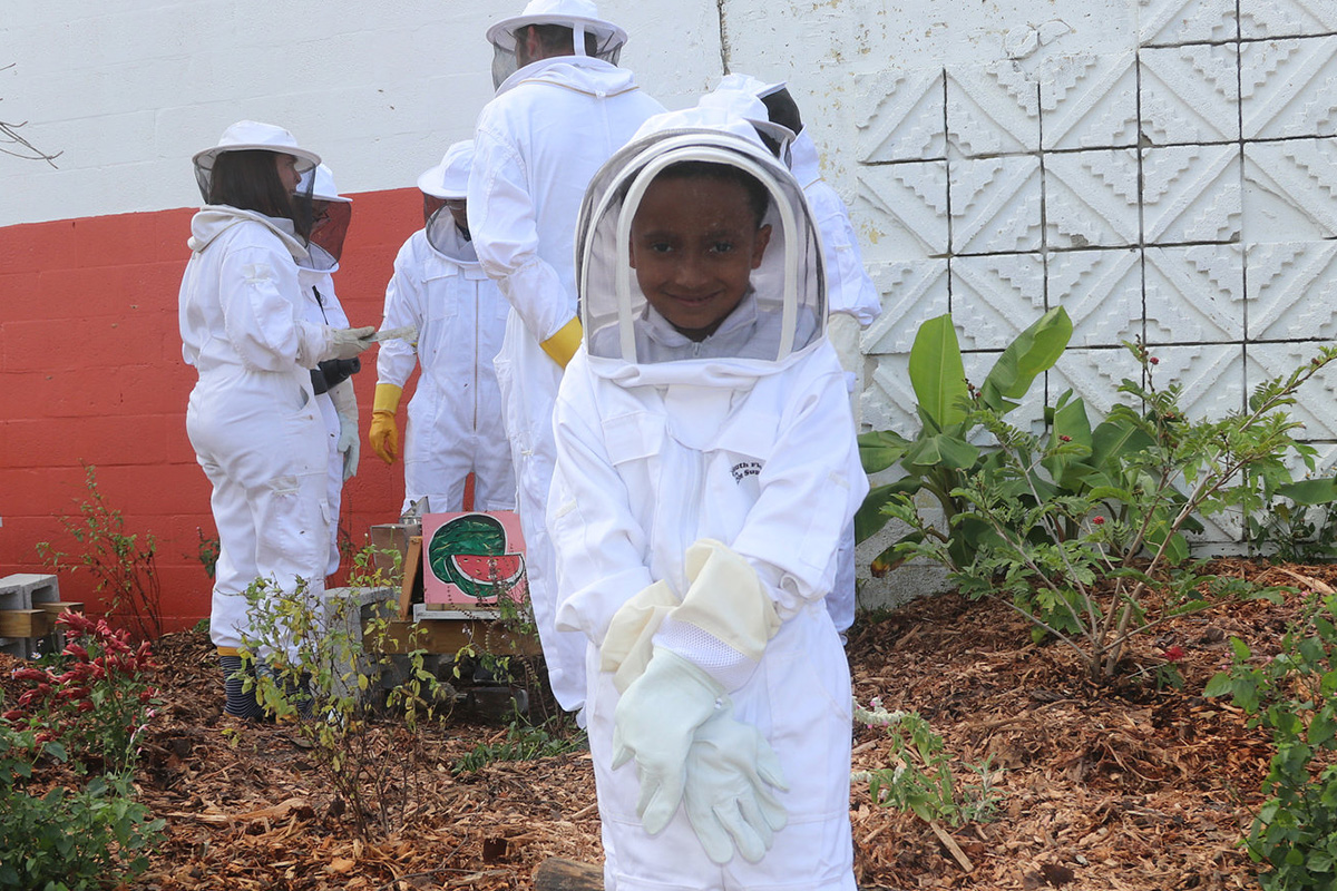 Public Hives, Public Space Challenge Winner