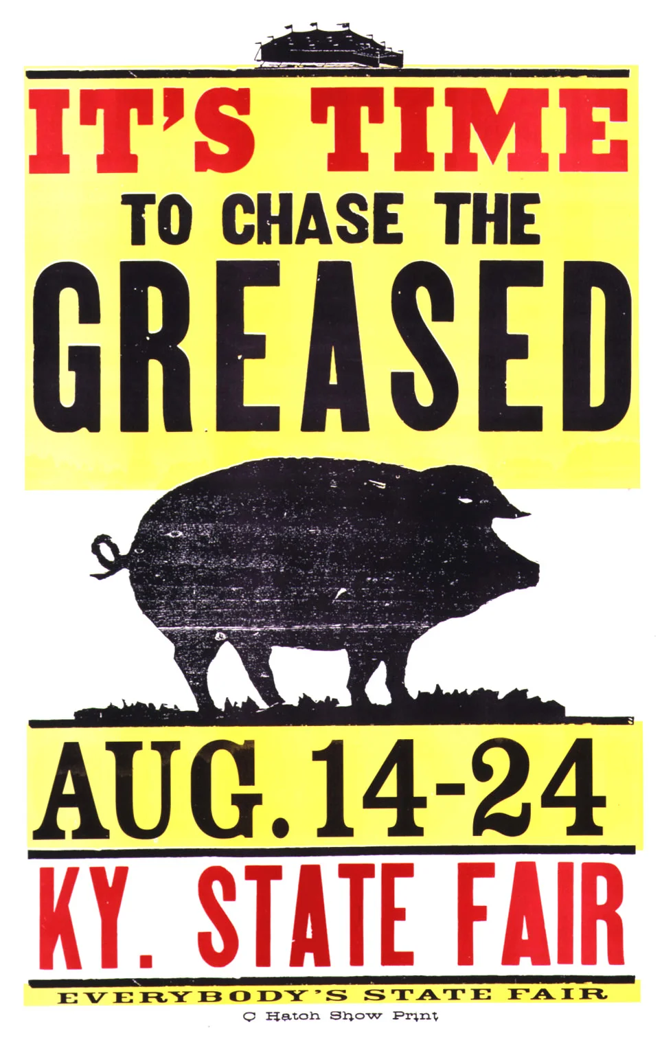 Greased PigLIGHT.jpg