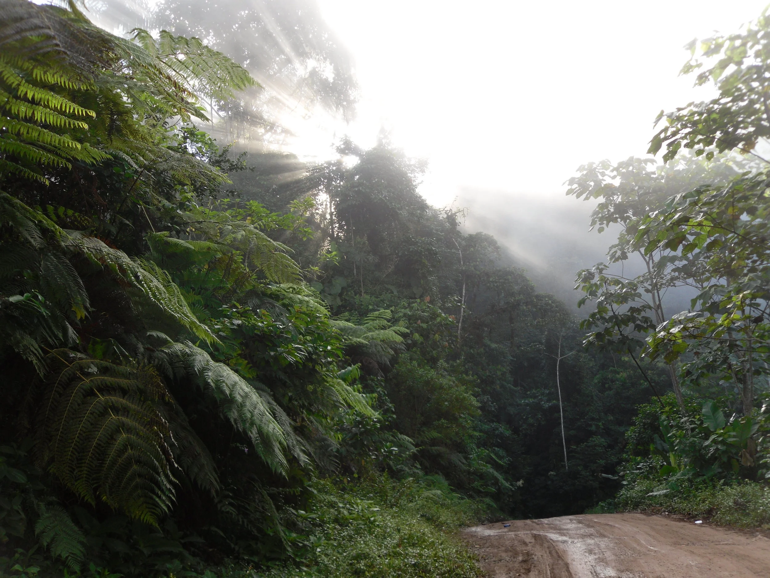 Scenery3.jpg