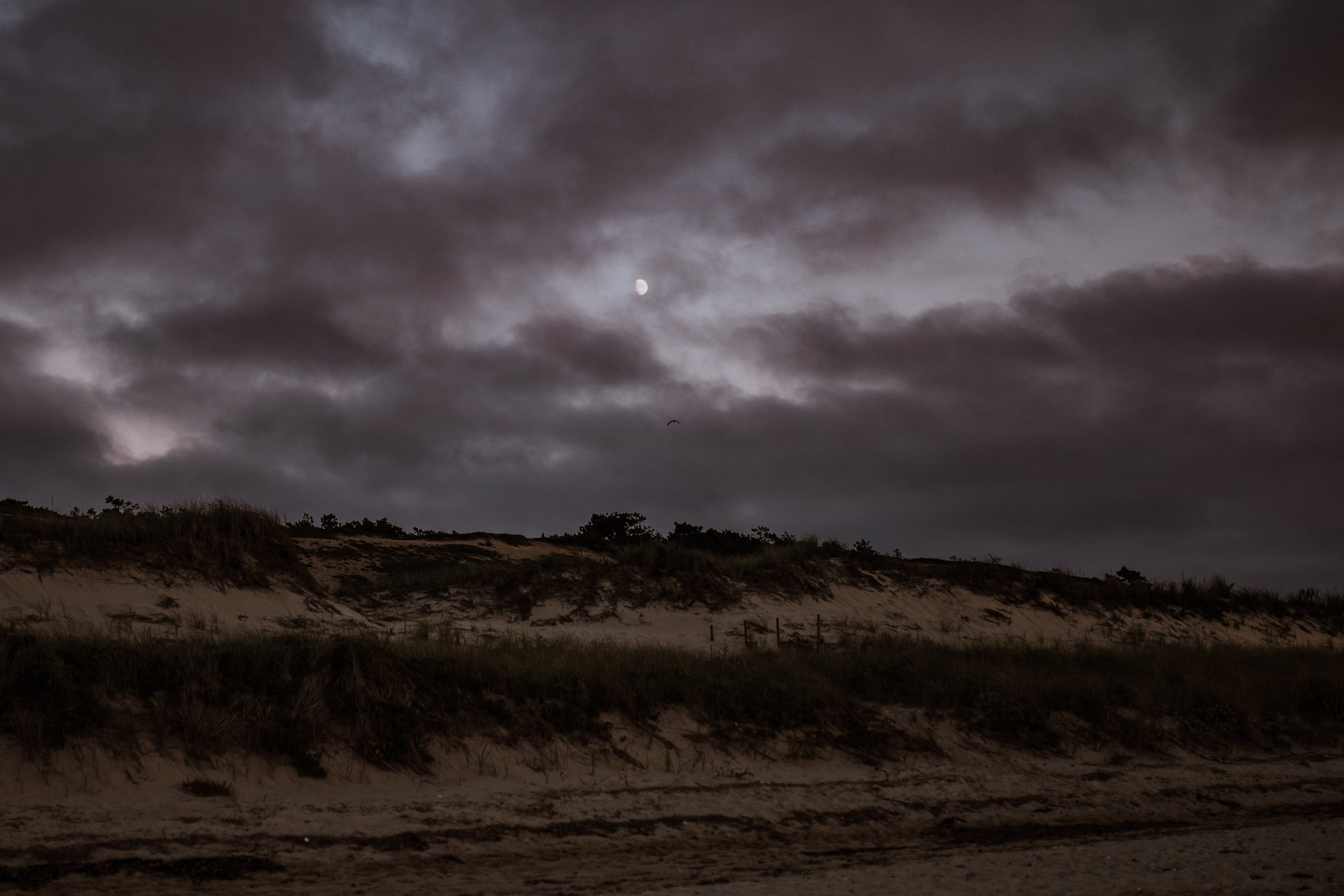 Moonrise during a Cape Cod elopement.