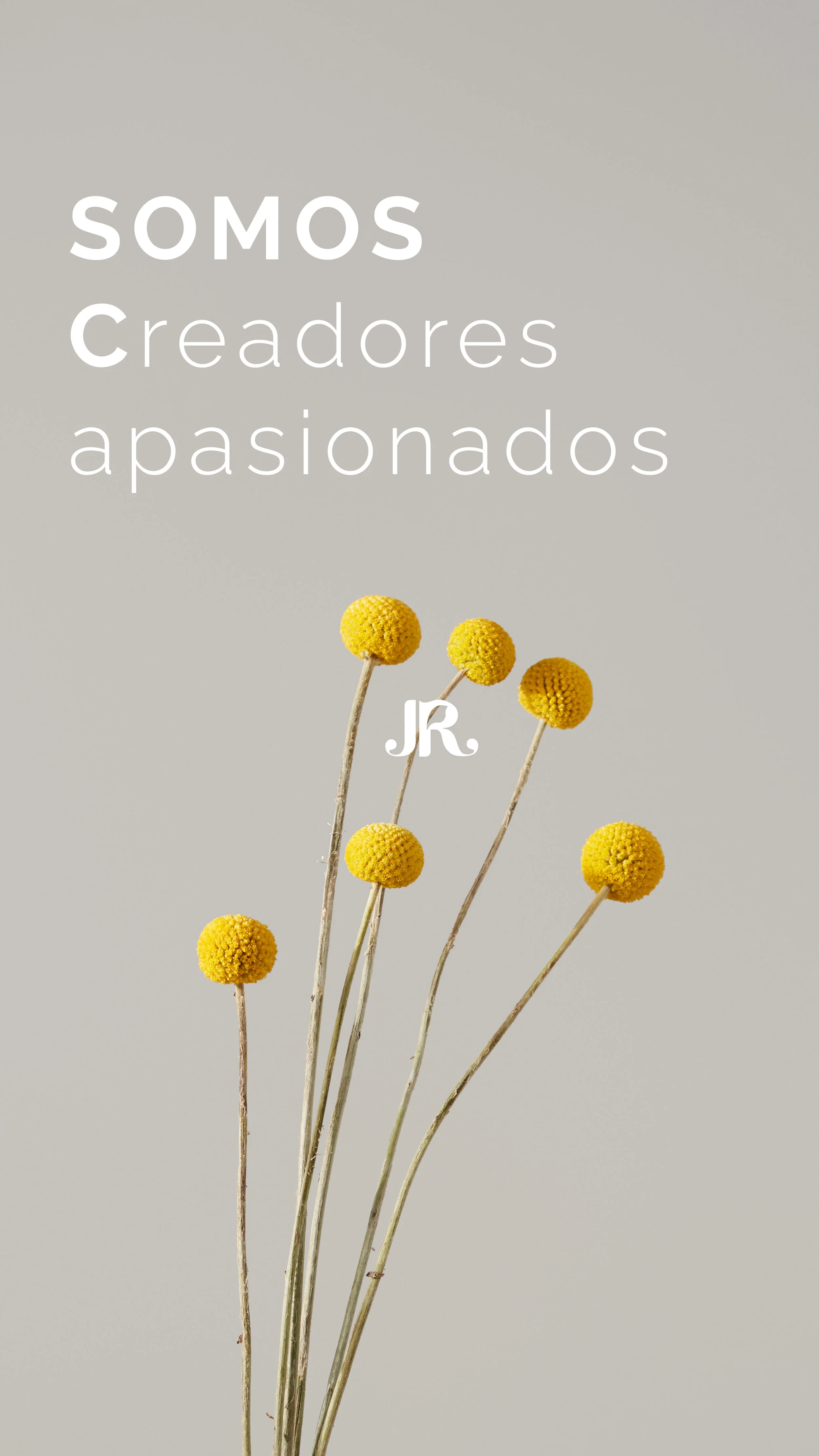 Pruebas_2-4.jpg