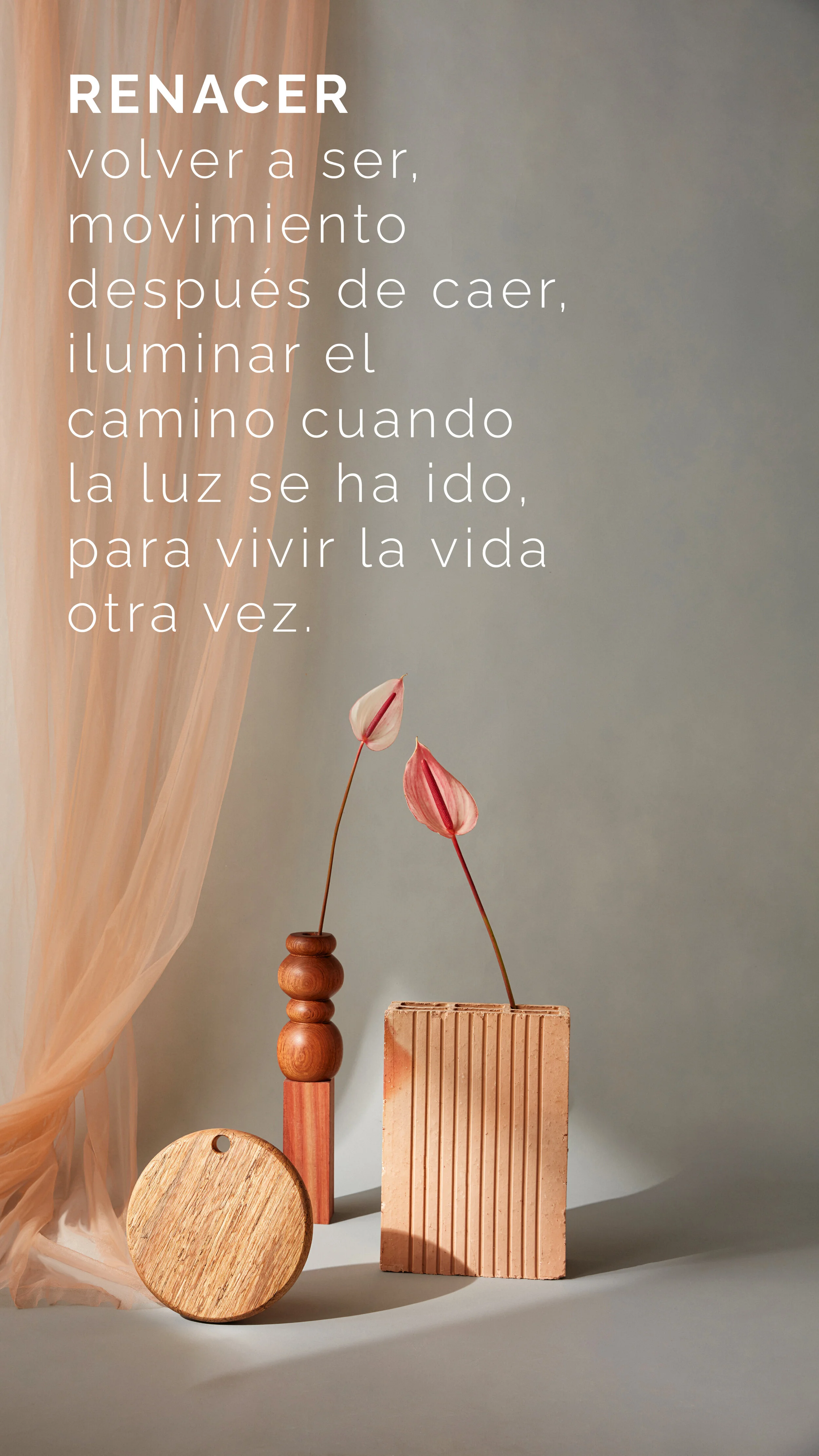 Pruebas-3.jpg