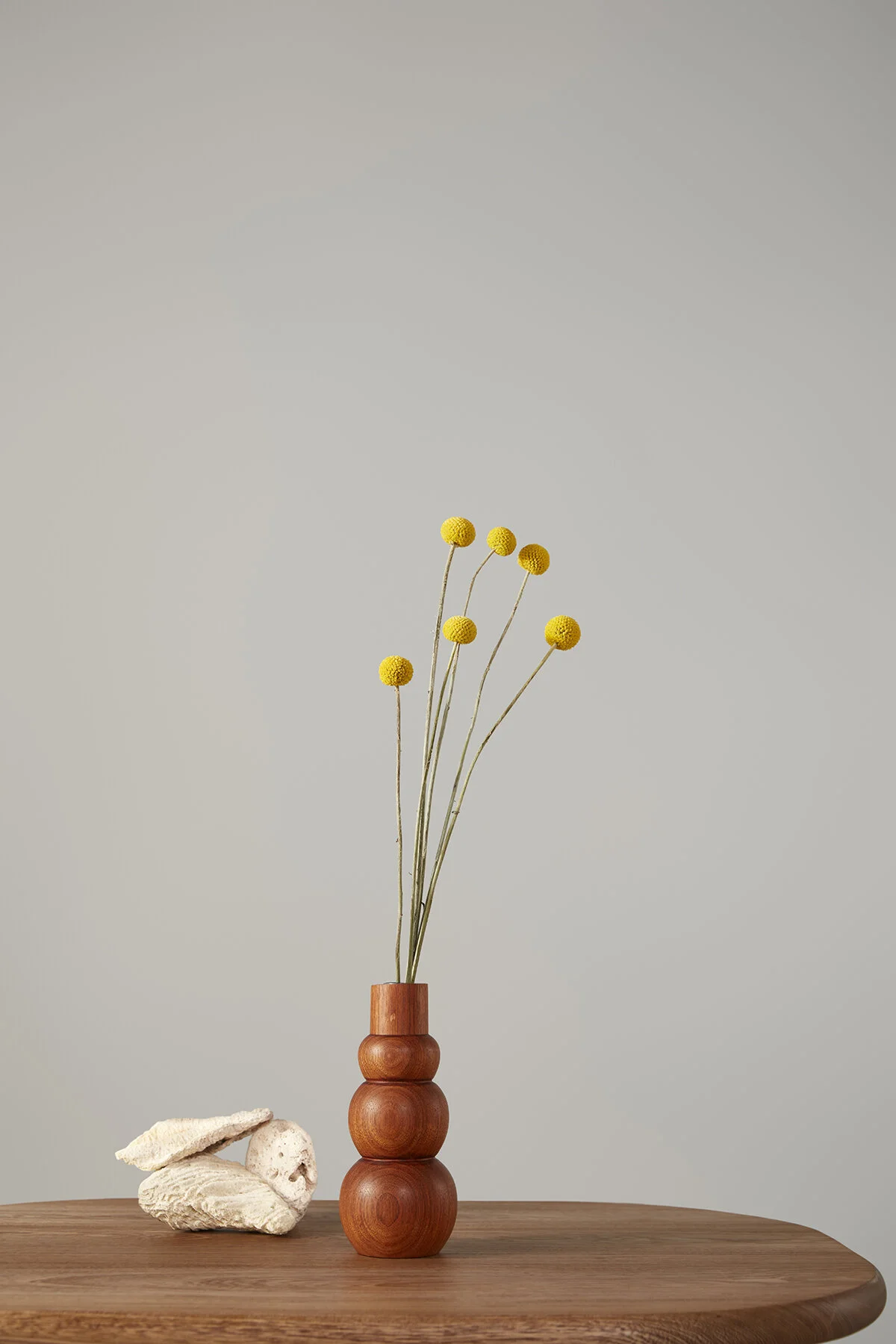 Andrea Gil-RIO-JuglansRegia_21.jpg