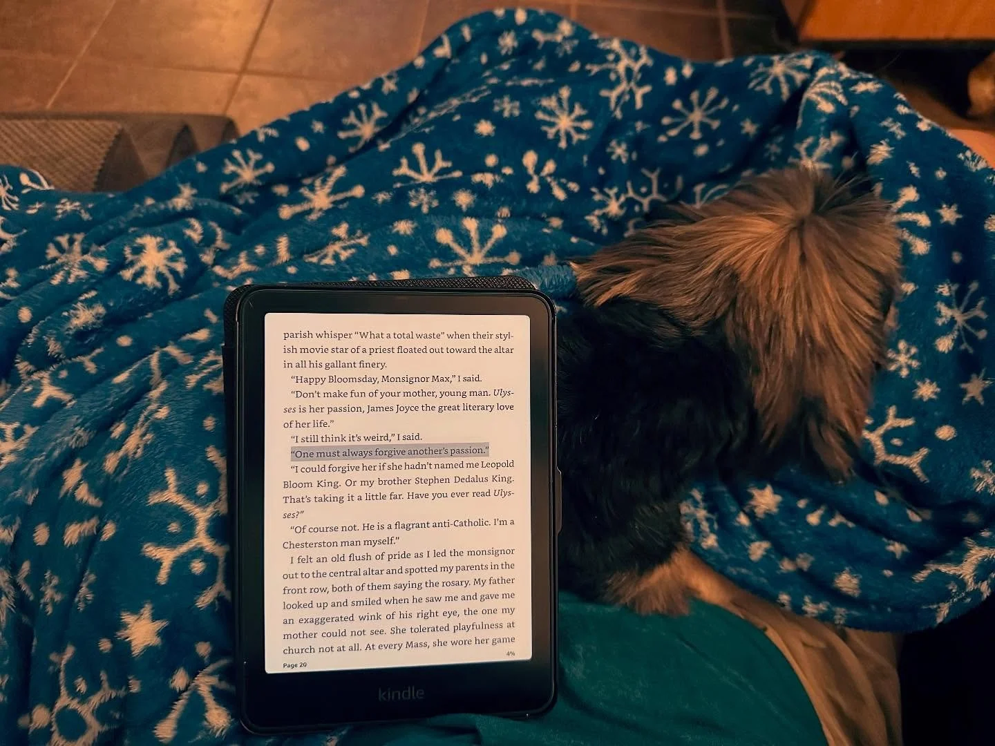 Rainy evening. Turbo snuggles. A GREAT book. The best.