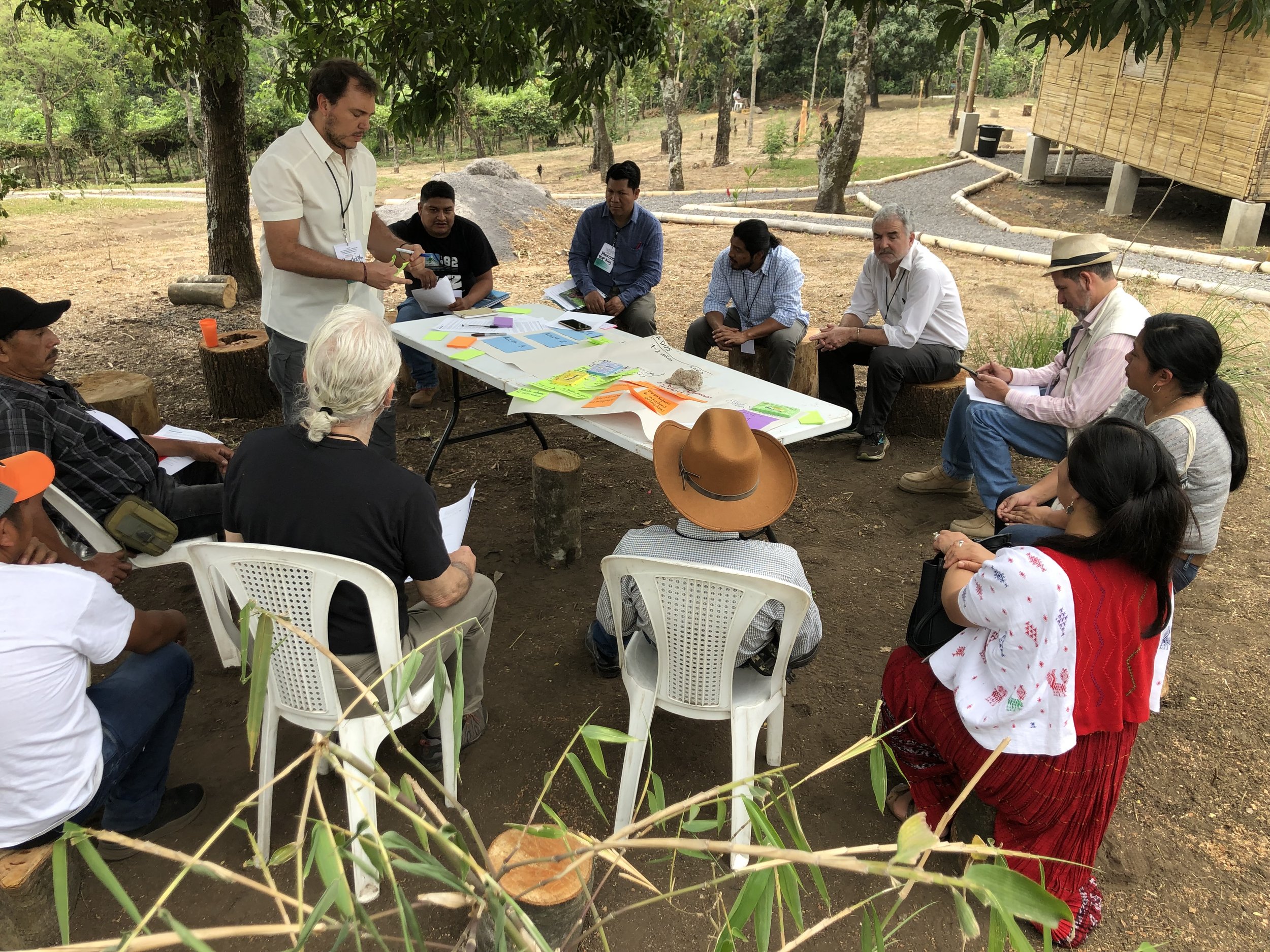 Common purpose for collective influence in Guatemala