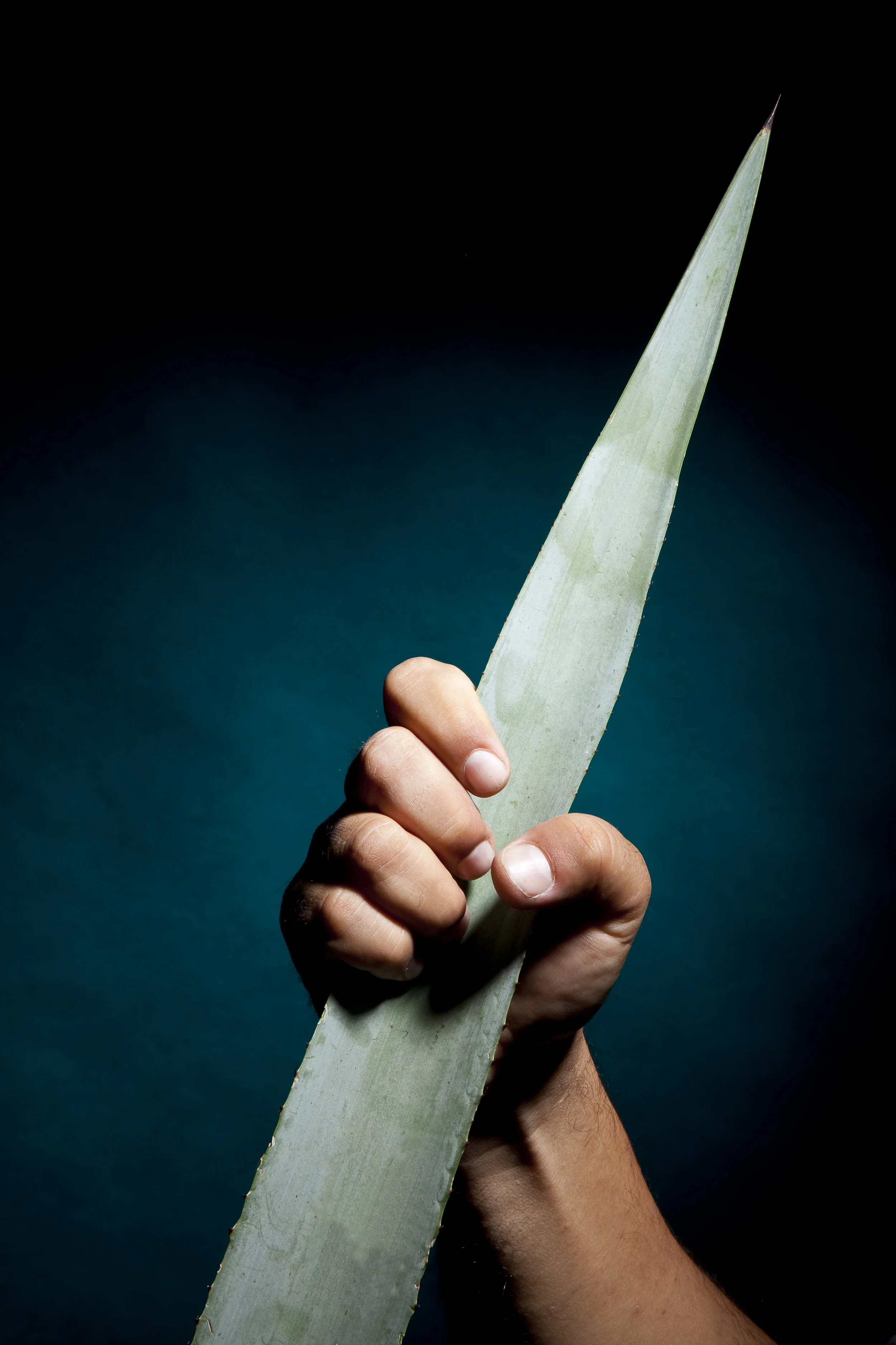 shutterstock_96578869.jpg