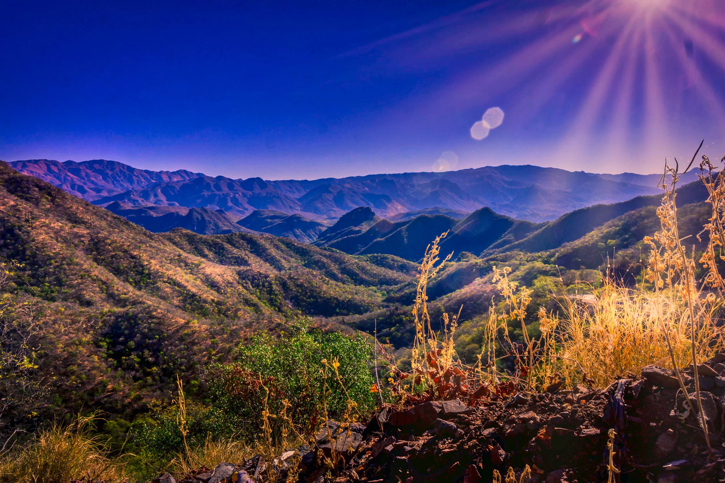 Image 12-27-18 at 8.17 AM_1.jpeg