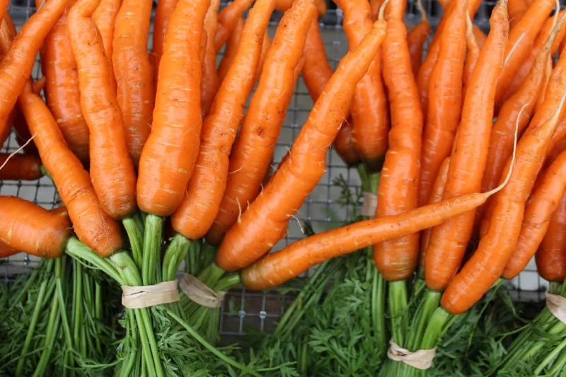 carrots.jpg