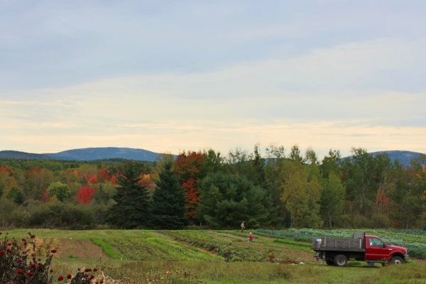 Fall field and mountains with truck.jpg