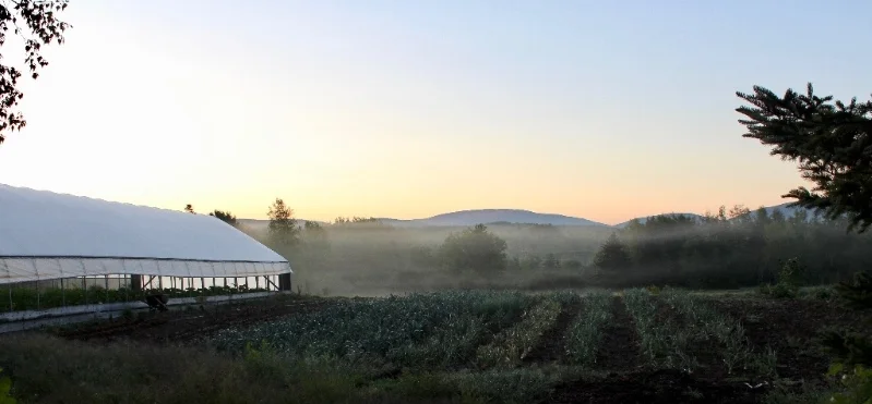 dusk greenhouse and fields smaller.jpg