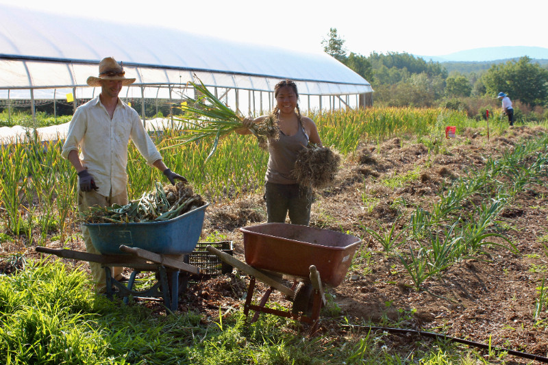 woman and guy in field.jpg