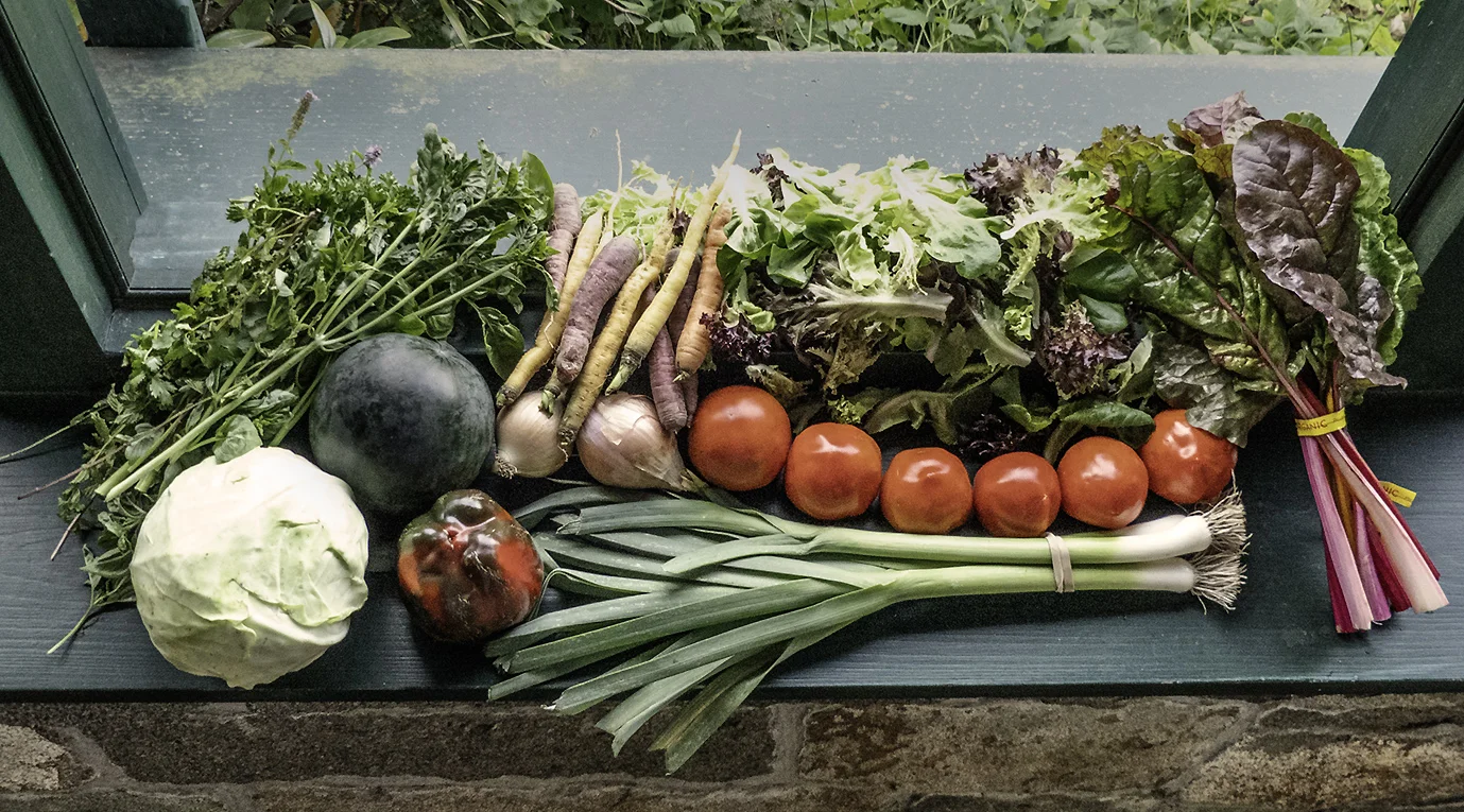 CSA September week 1 (RPS).jpg
