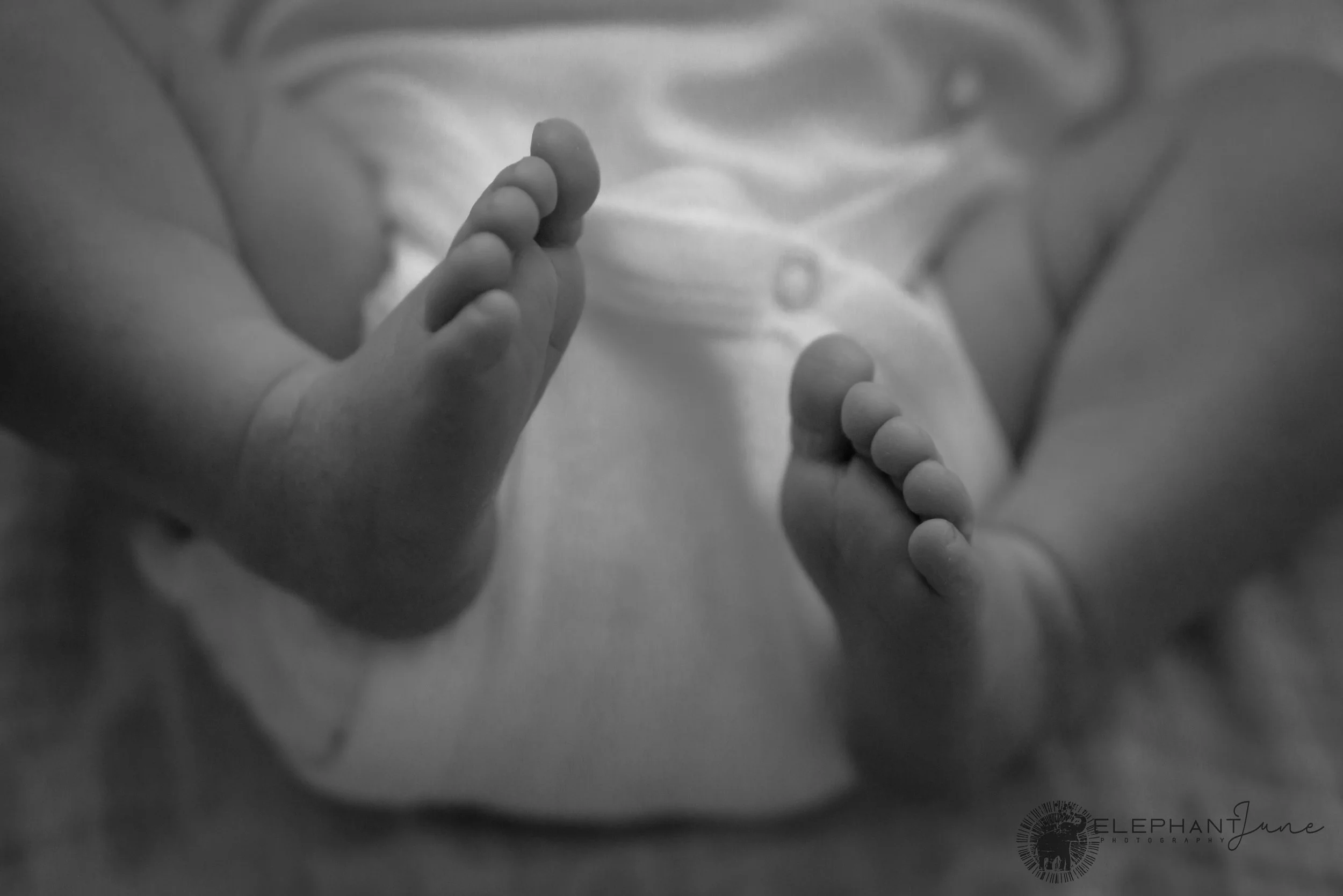 Elephant June Photography_Newborn_Willow_Feet.jpg