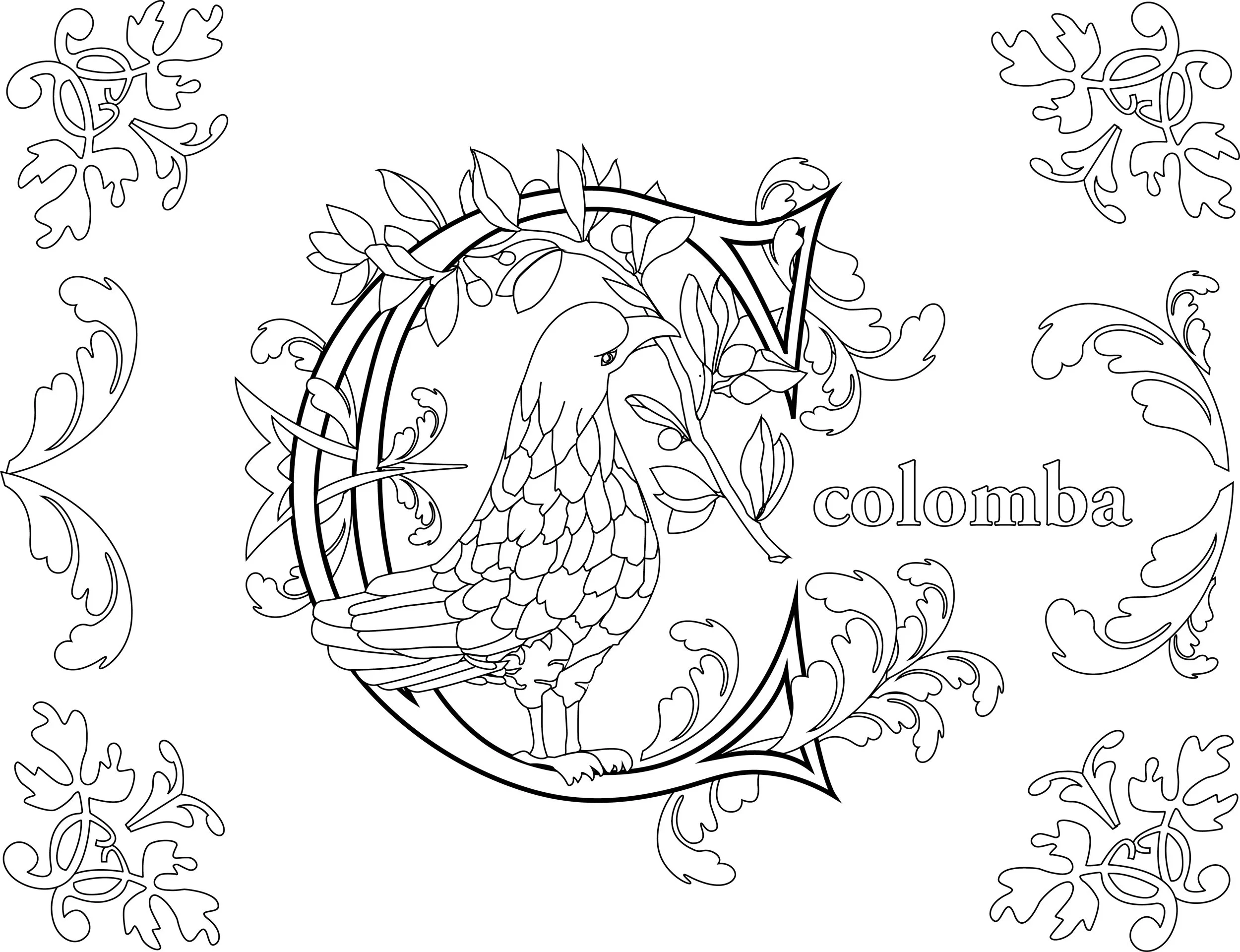colocmba dove-01.jpg