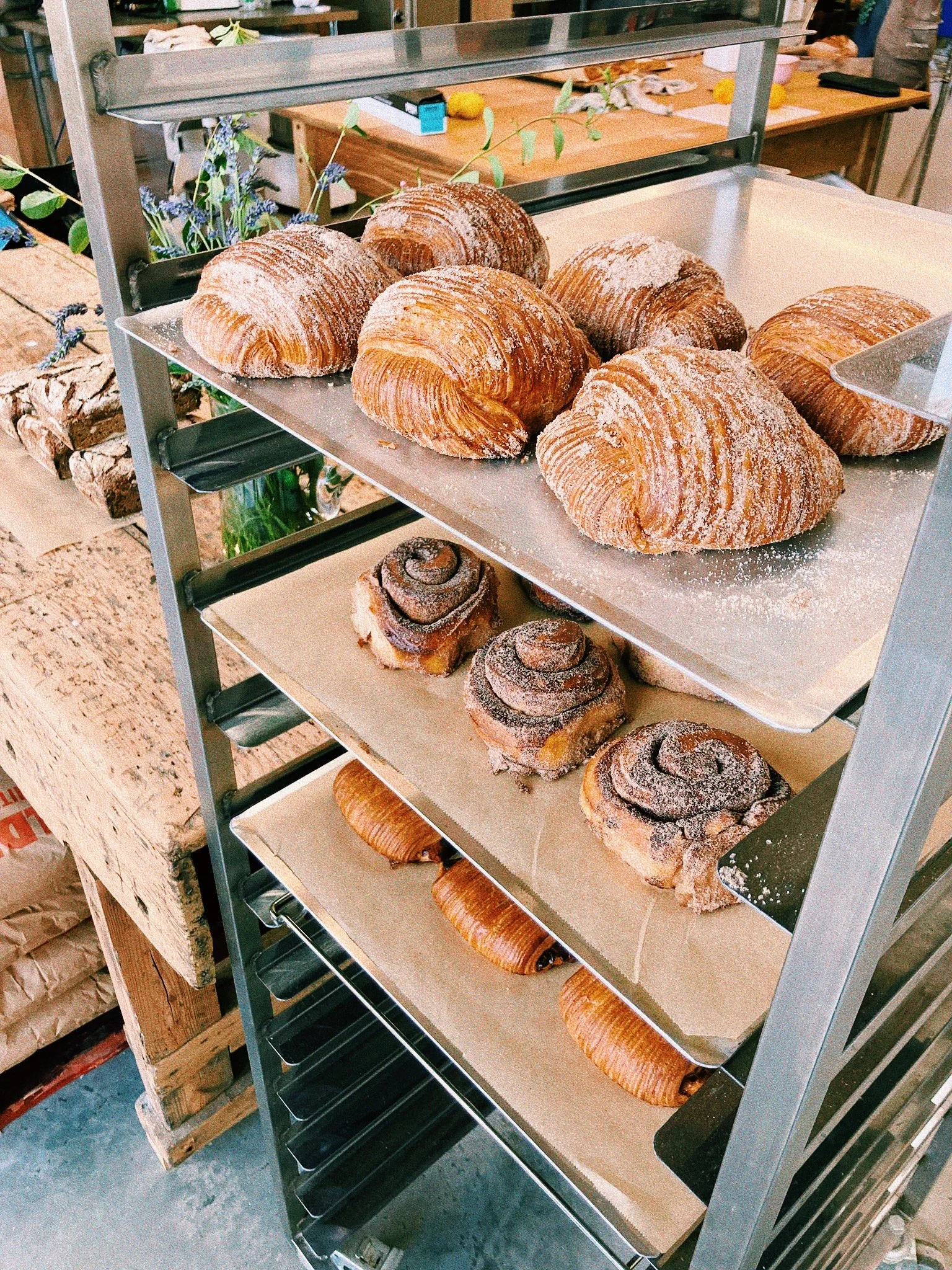 df684605-55a1-4b7a-81a6-c87d034879f2_VSCO 2.JPG