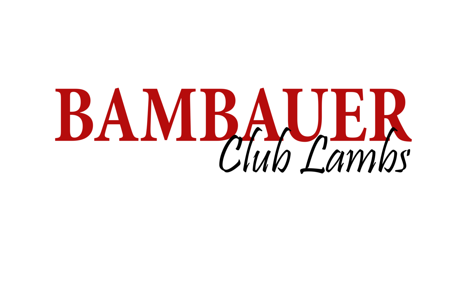 Bambauer Club Lambs