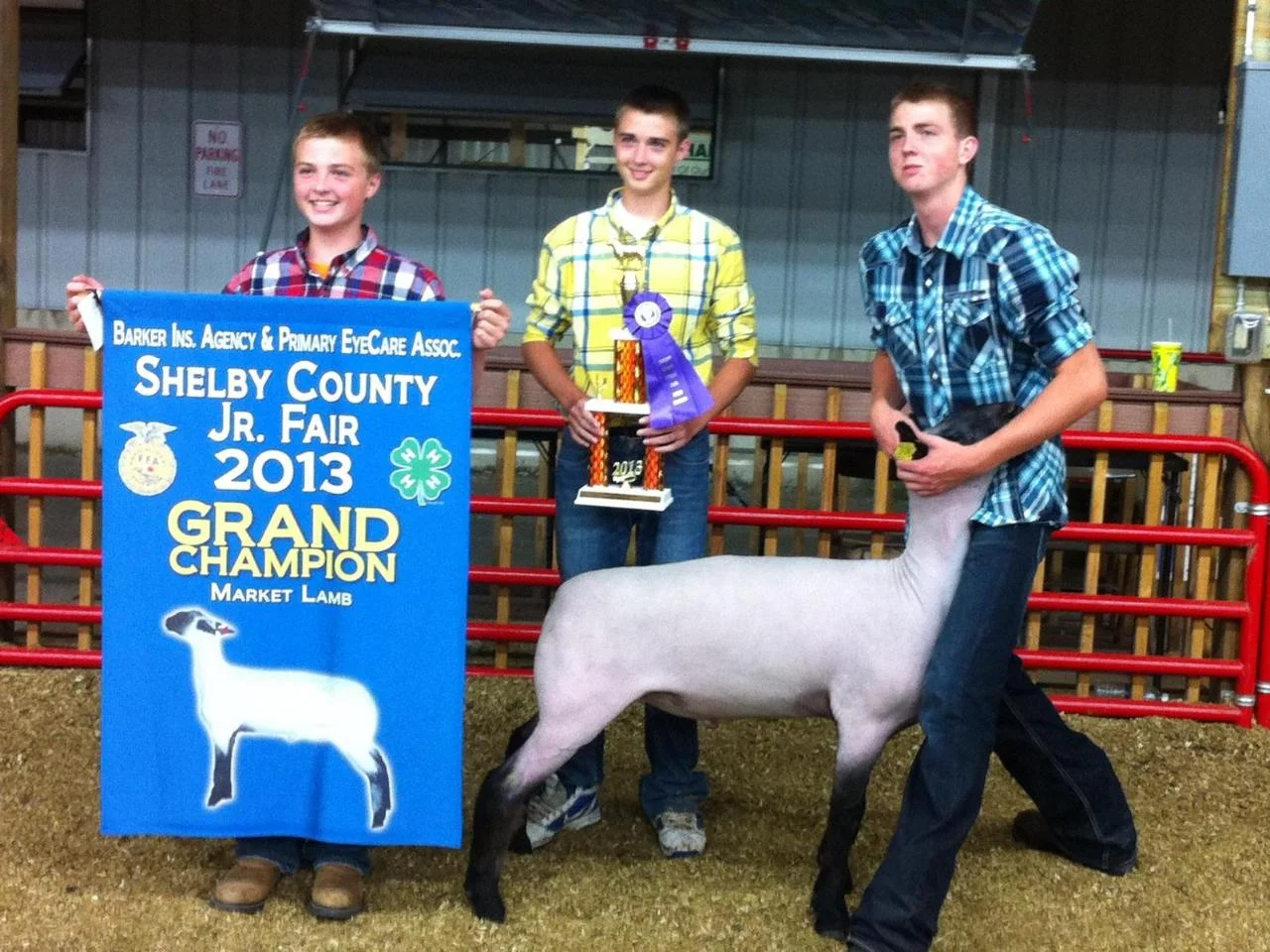 Shelby Co. Grand Champ 2013.jpg