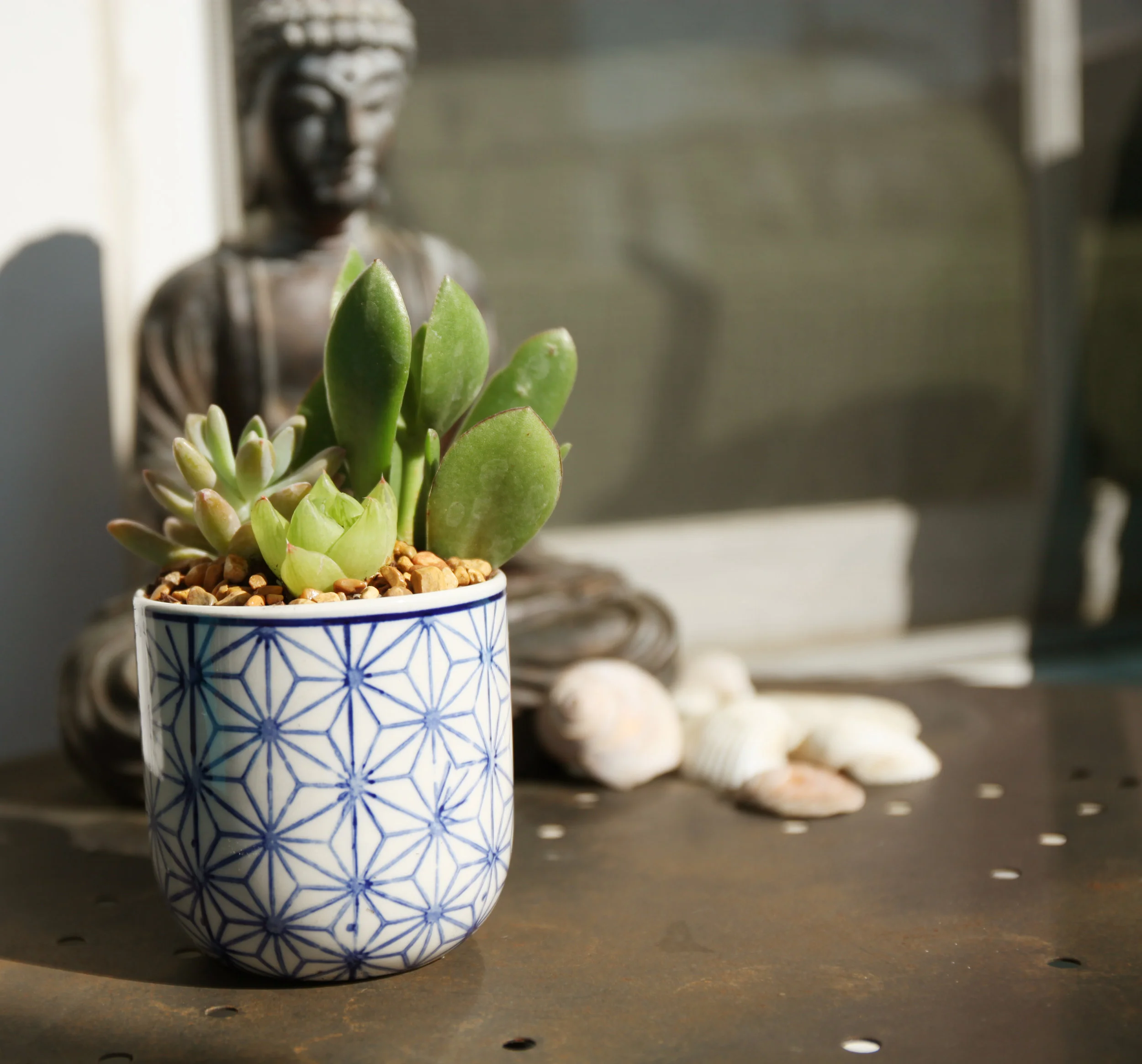 zen vibes