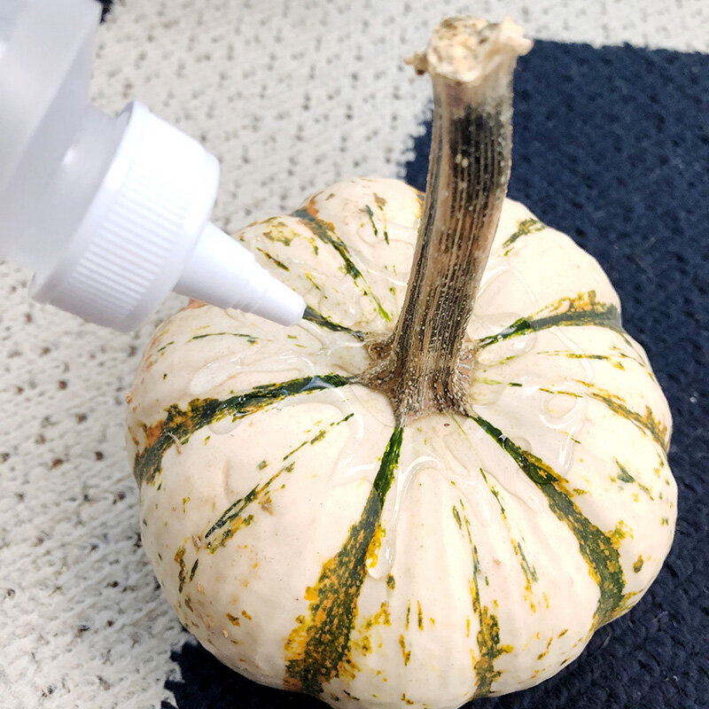 Add glue around top of pumpkin in a spider web shape