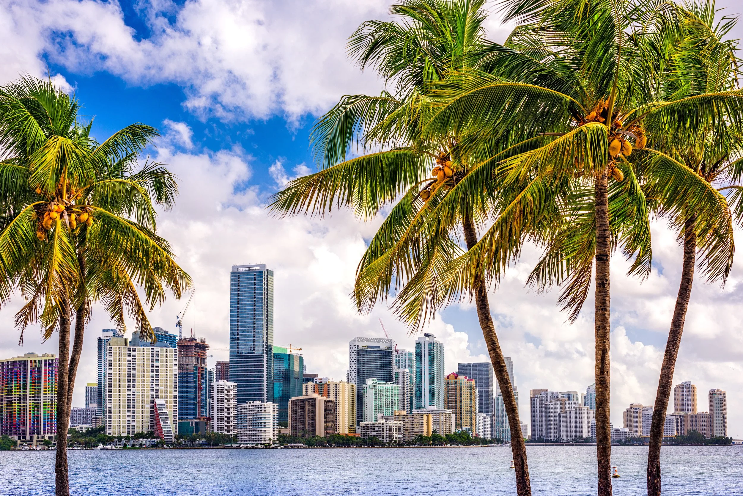 miami.jpg