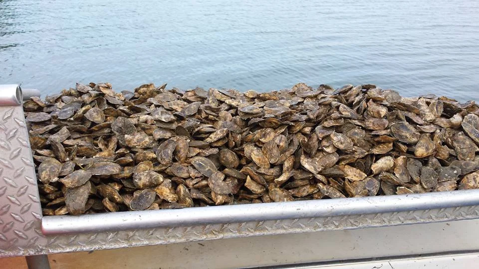 pemaquid oysters oile.jpg