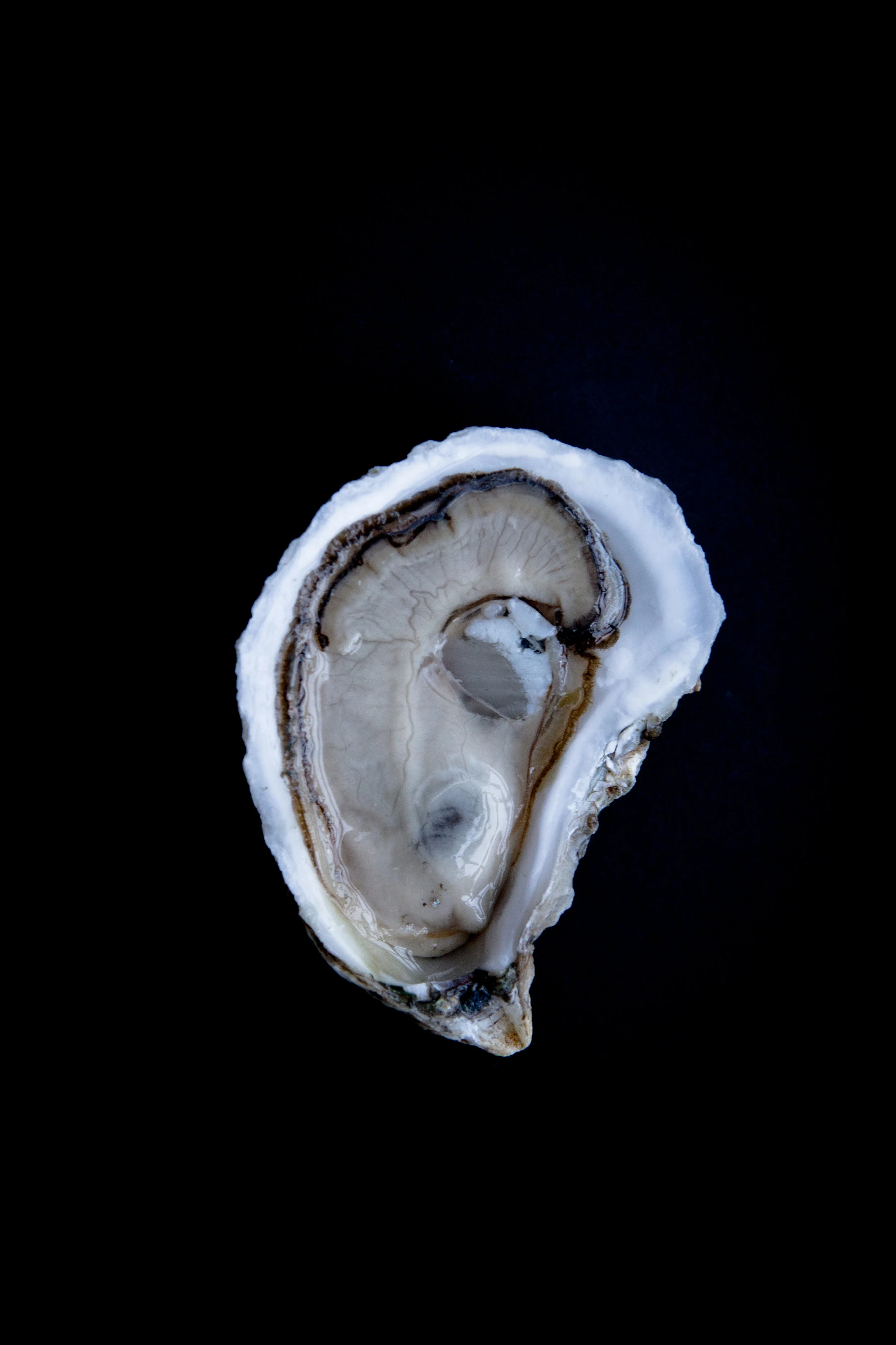 What is your favorite beverage to pair with oysters?