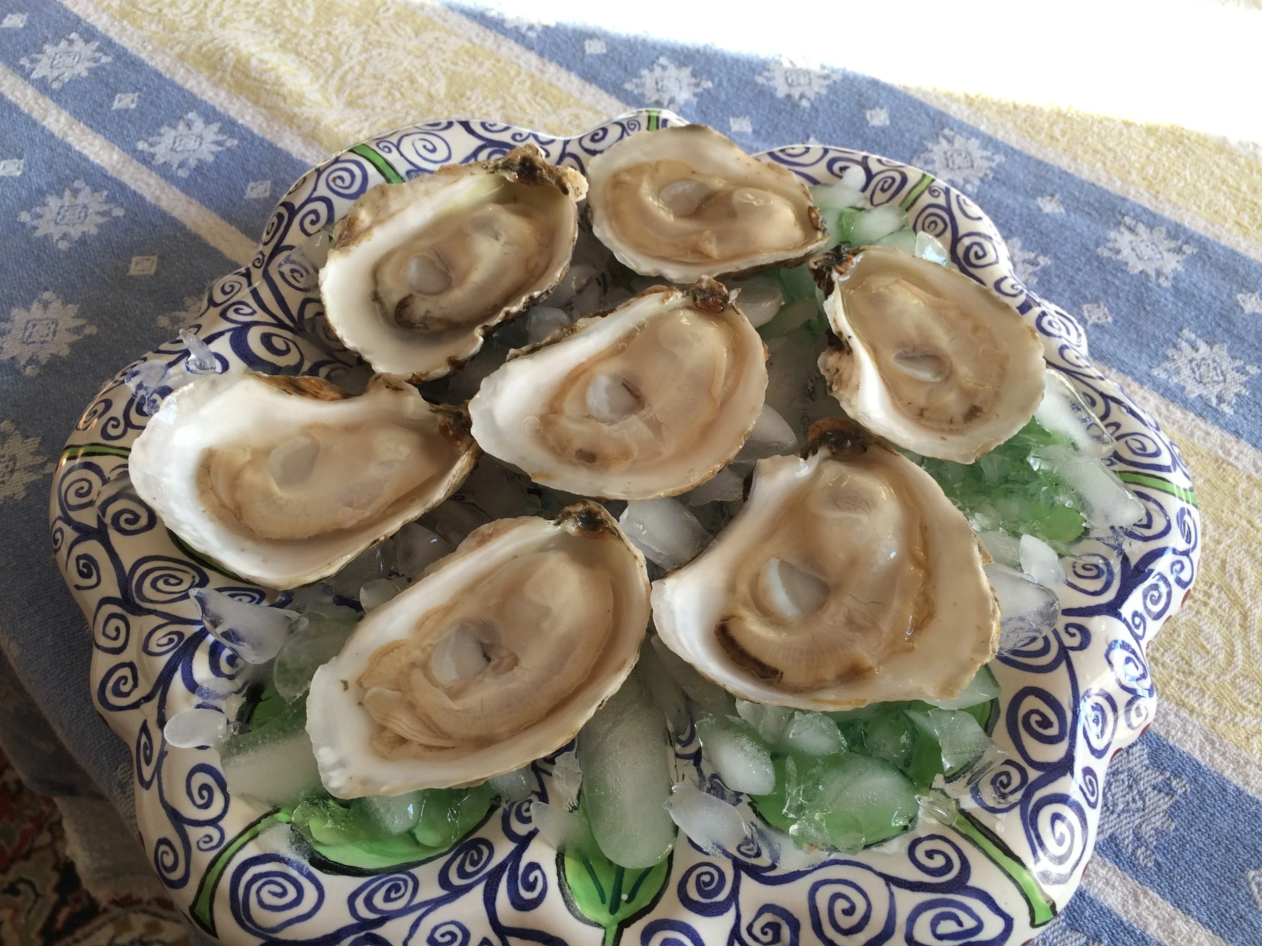 What is your favorite beverage to pair with oysters?